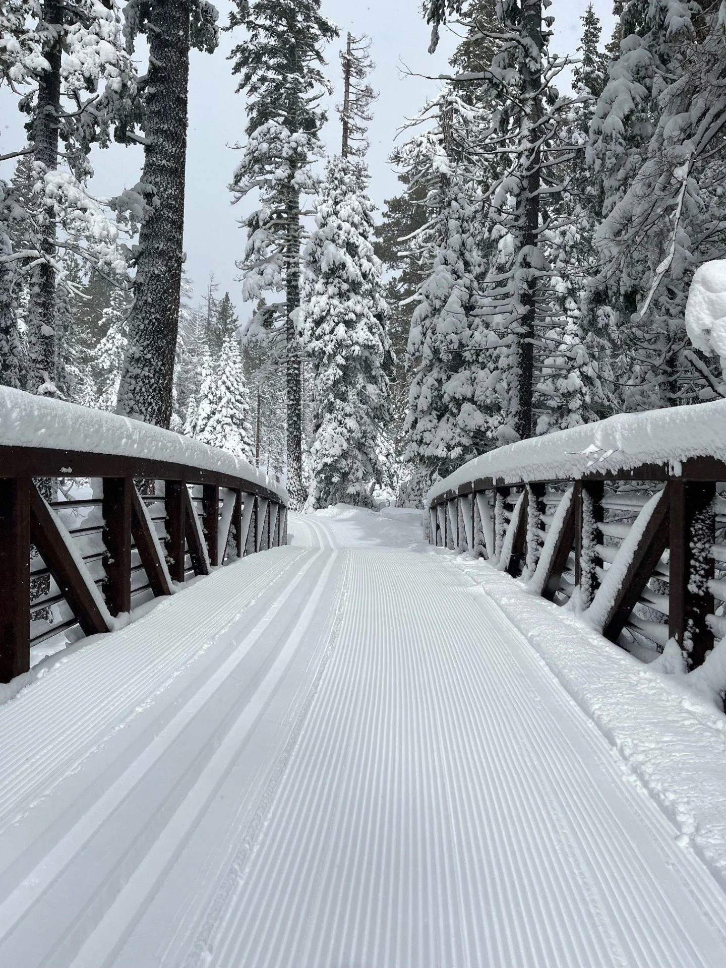 Embrace the Silent Season: Why Winter is the Best Time to Trade the Crowds for Pristine Landscapes in California’s State Parks