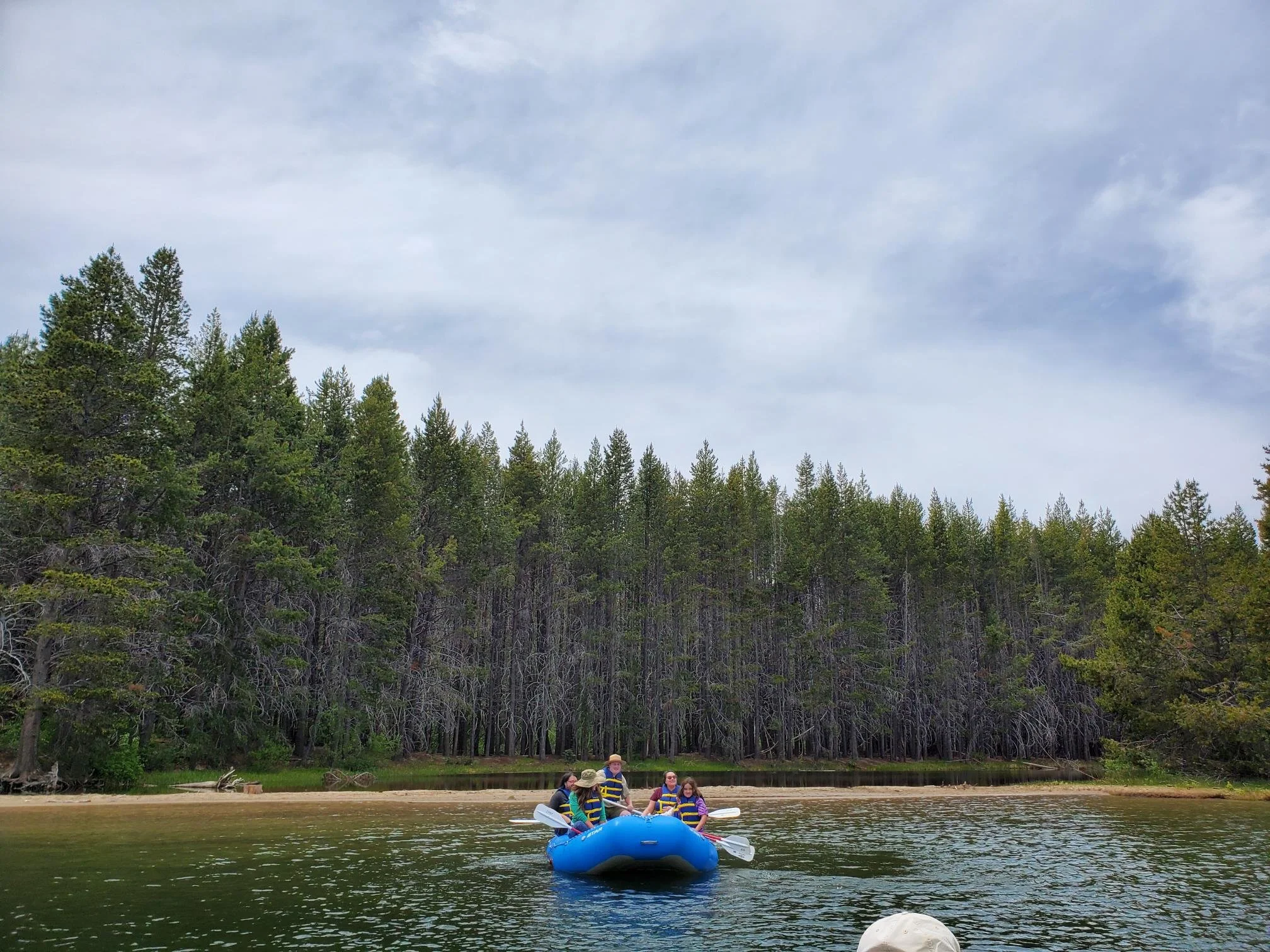 Free Summer Programs in our Parks!