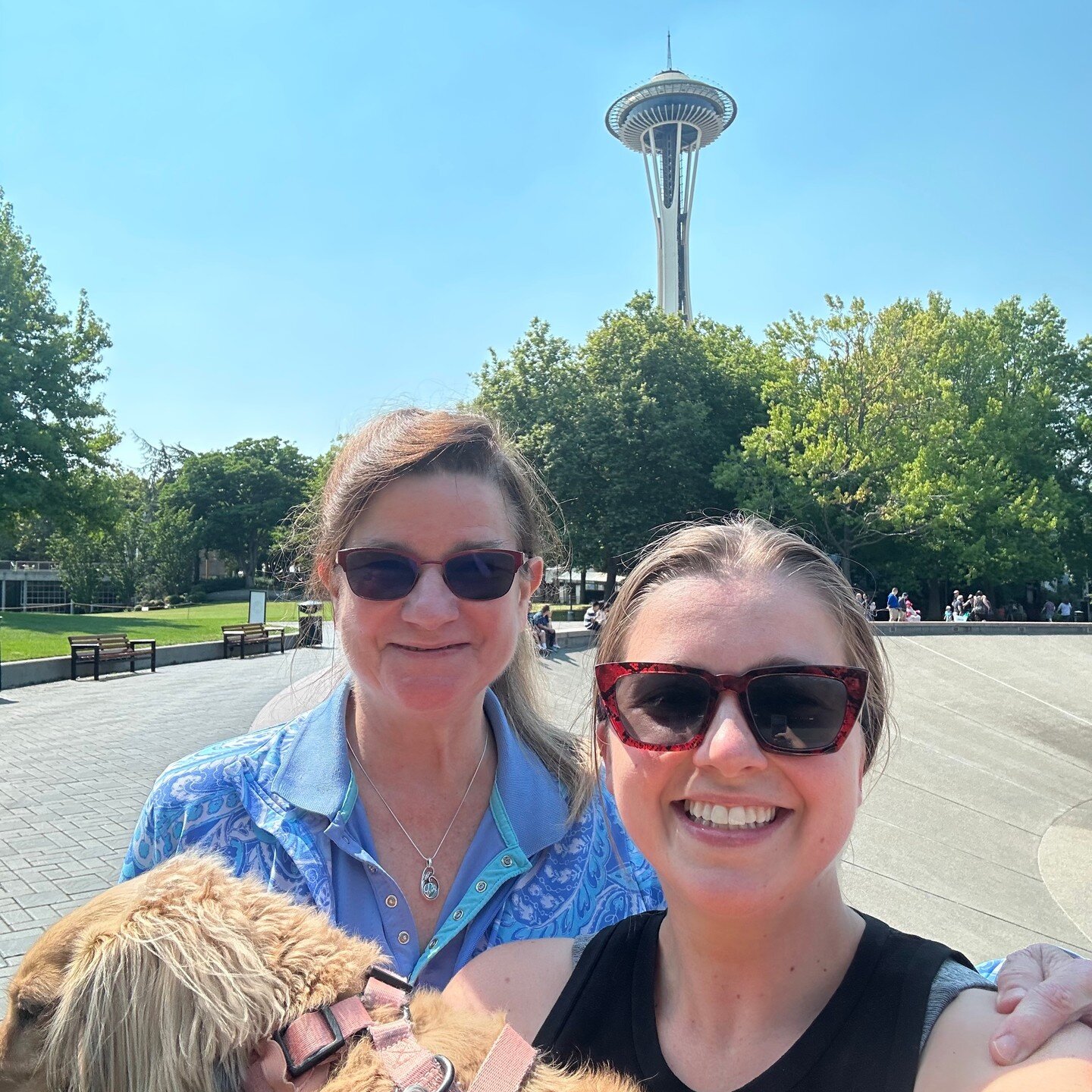 I was blessed to make an amazing trip to Seattle to see my niece @isabelphillips and to be invited to share the experience of @soulcollage_inc with her friends!

It is one thing for my niece to be curious enough to take the leap onto the SoulCollage&