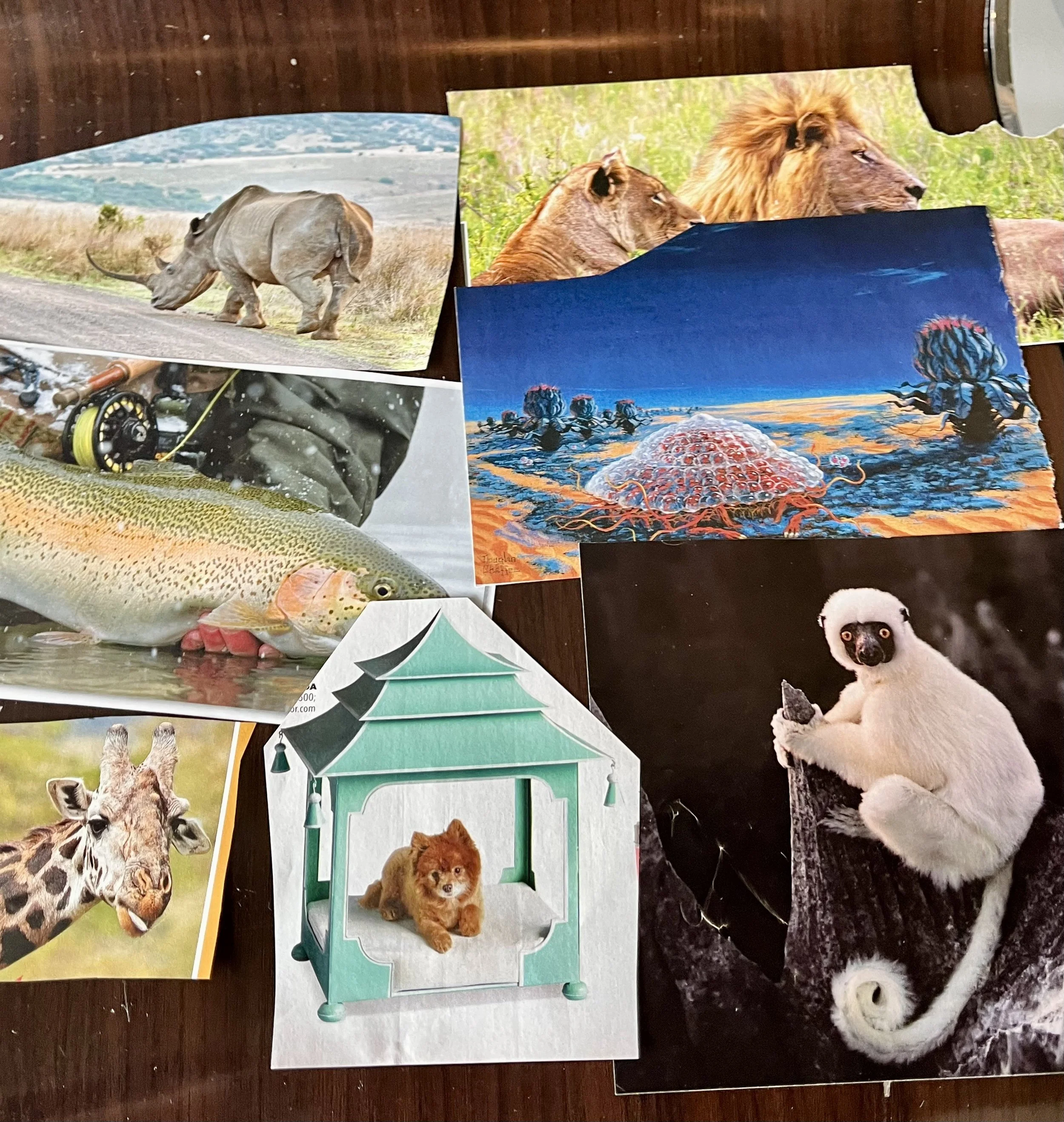 SoulCollage® Animals.jpeg