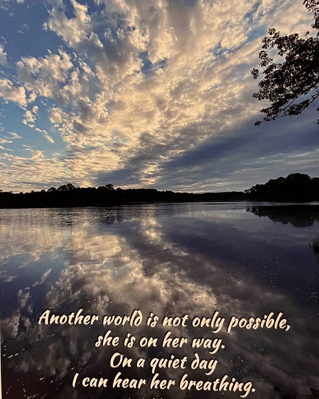 Courtesy of Catherine Anderson