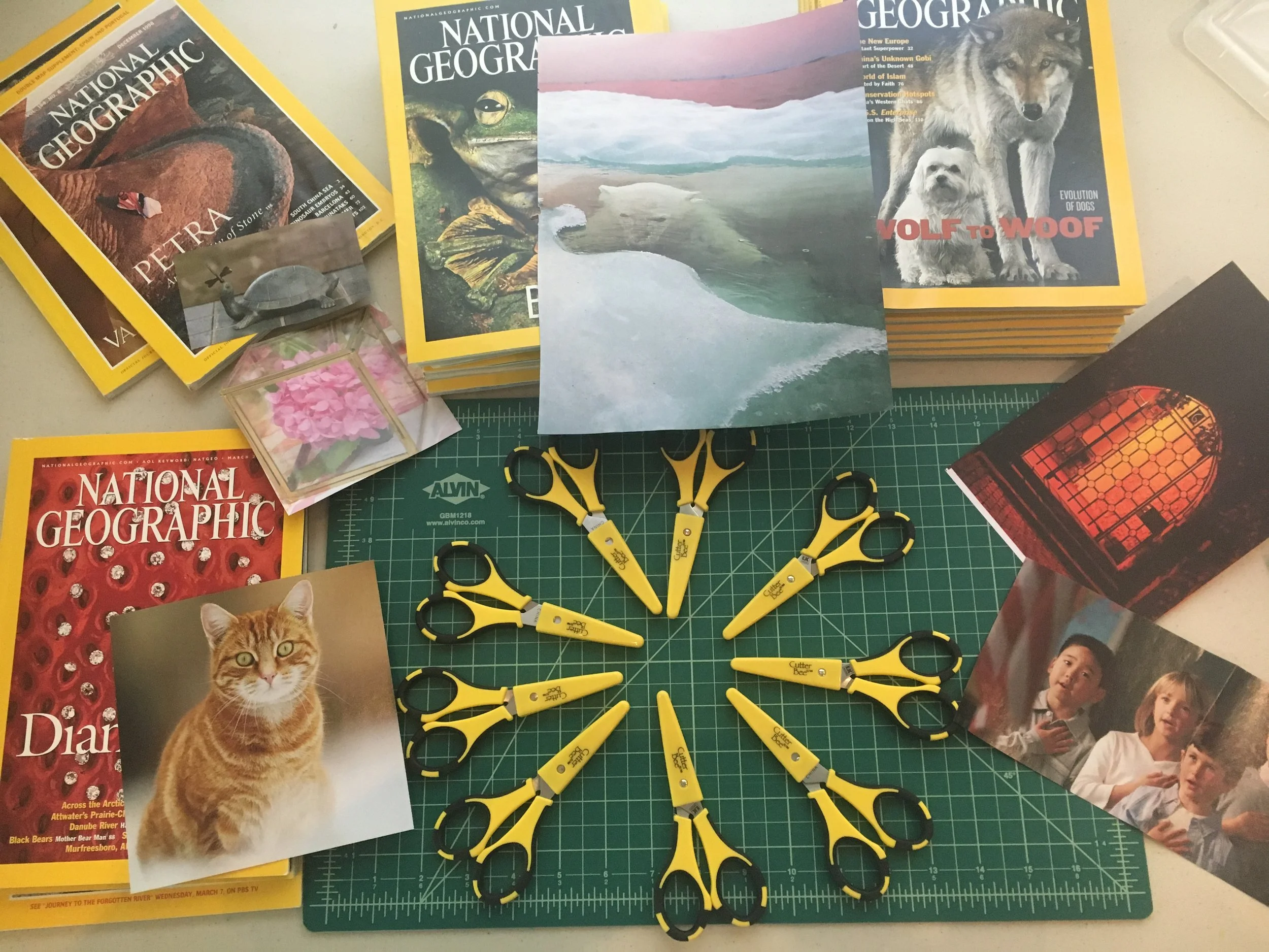 FREE Community Event: Image Clipping and Sorting!