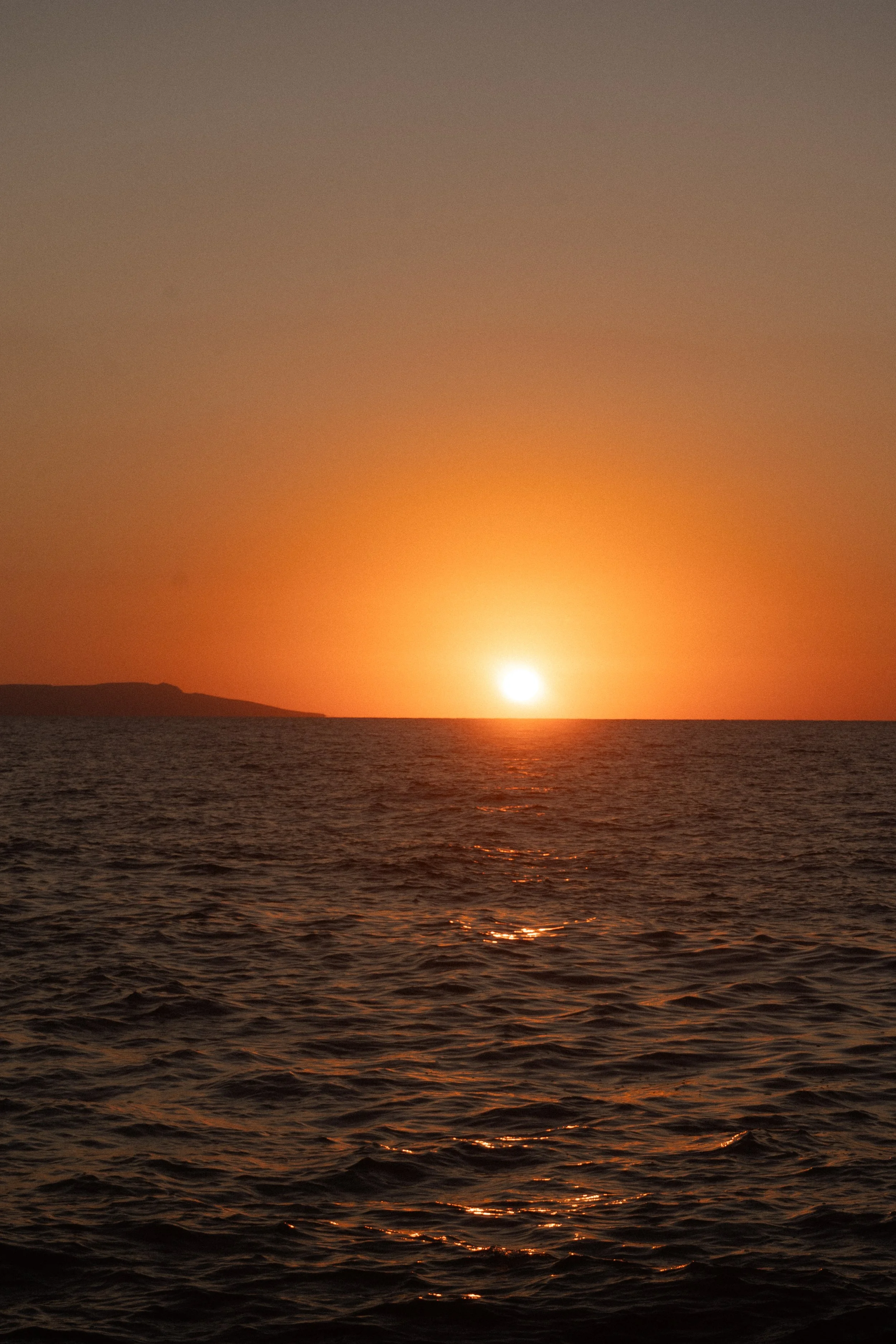 DSC09649.jpg