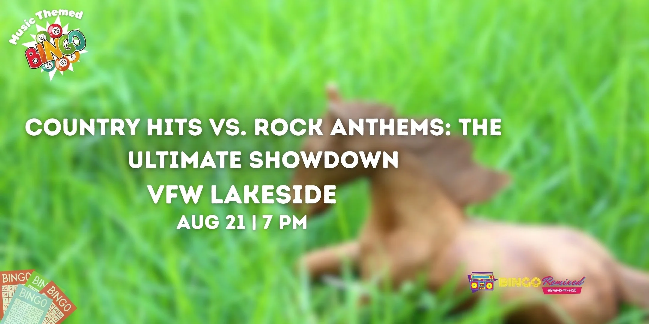 Country Hits vs. Rock Anthems: The Ultimate Showdown @ VFW 5867 Lakeside