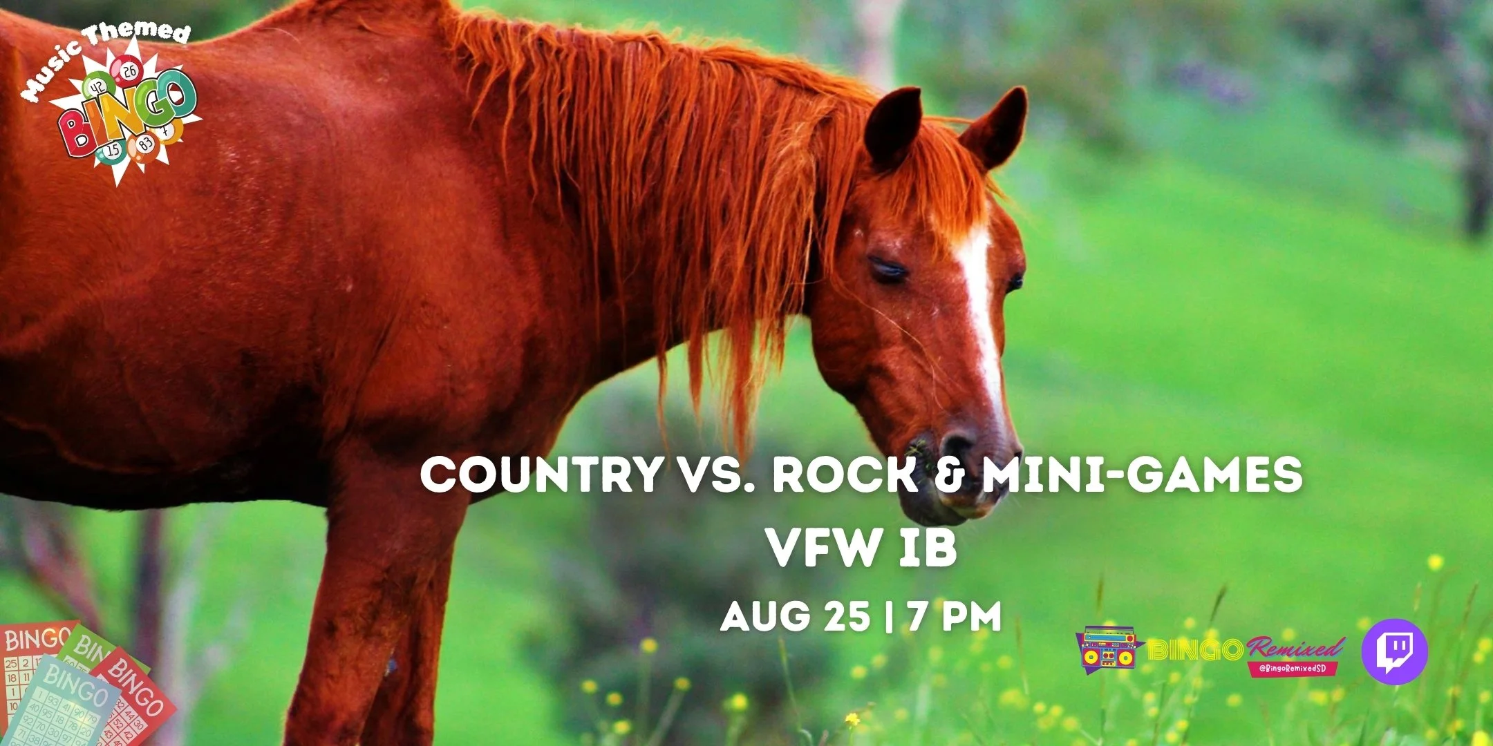 Country vs. Rock &amp; Mini-Games @ VFW 5477 IB
