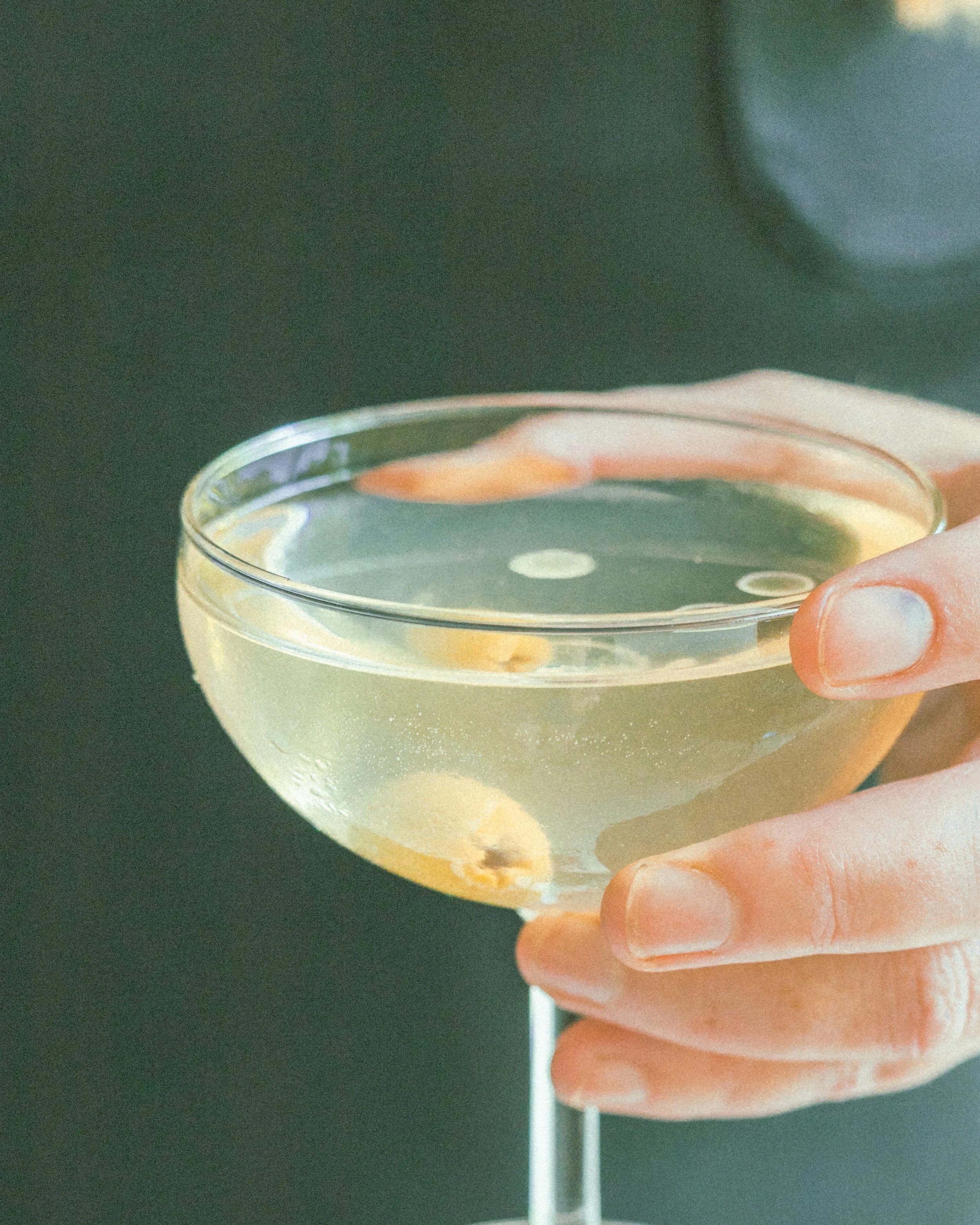 plain spoke (30 of 67).jpg