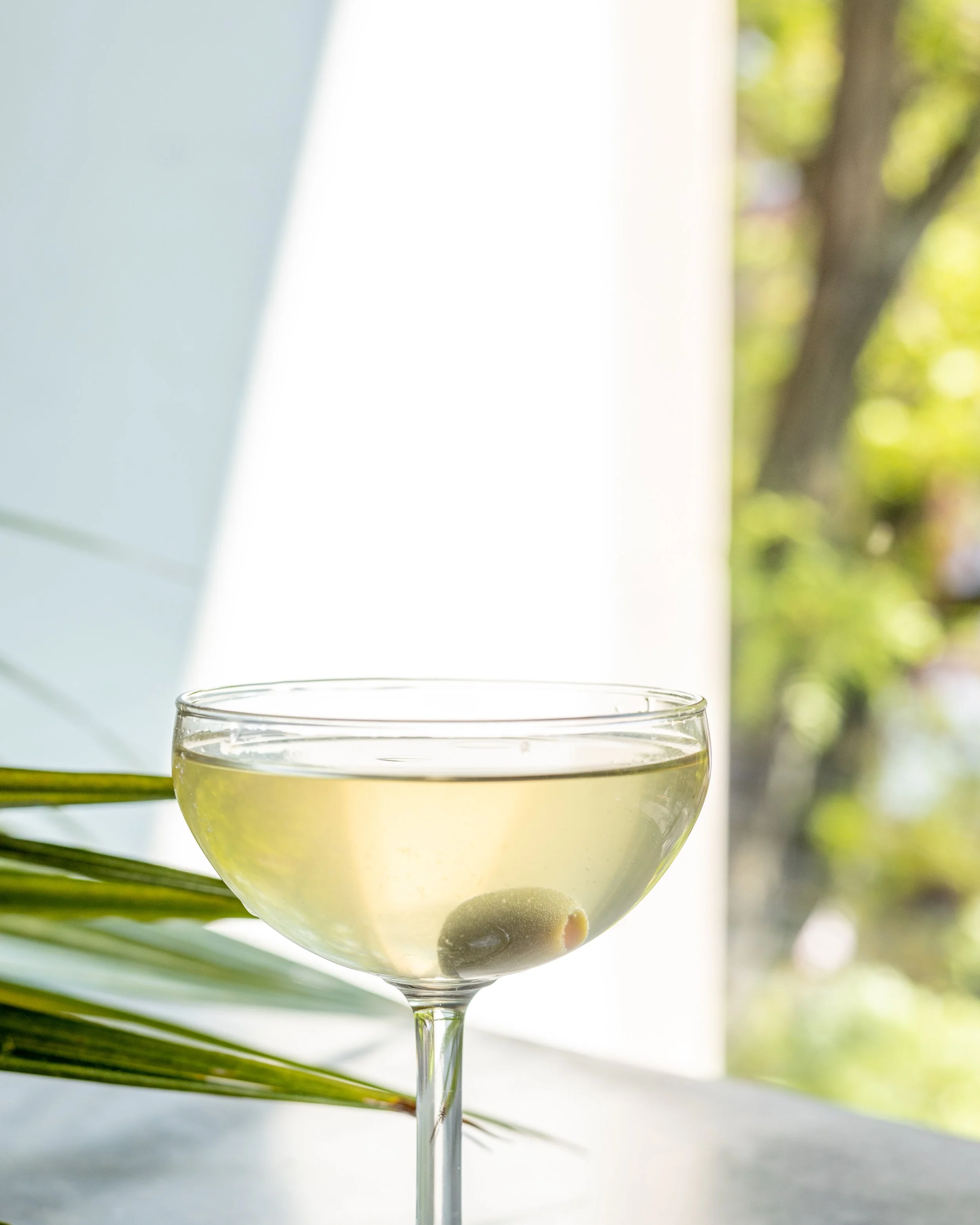 plain spoke (53 of 67).jpg