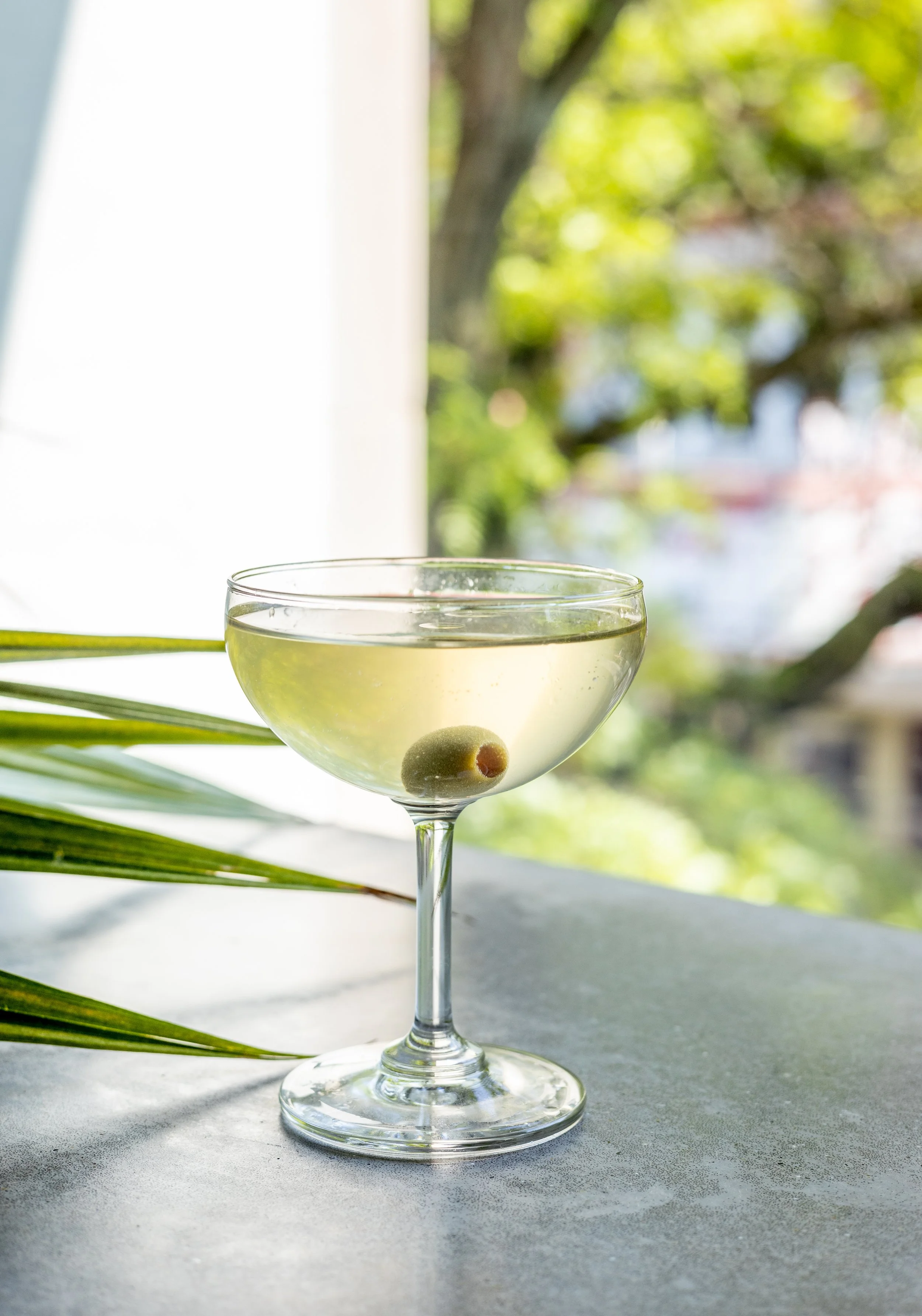 plain spoke (54 of 67).jpg