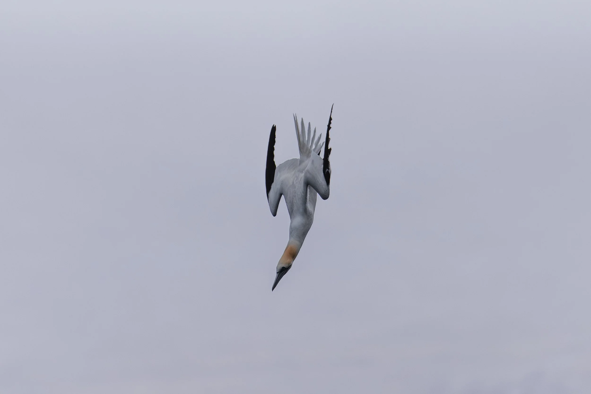 EC__5545.jpg