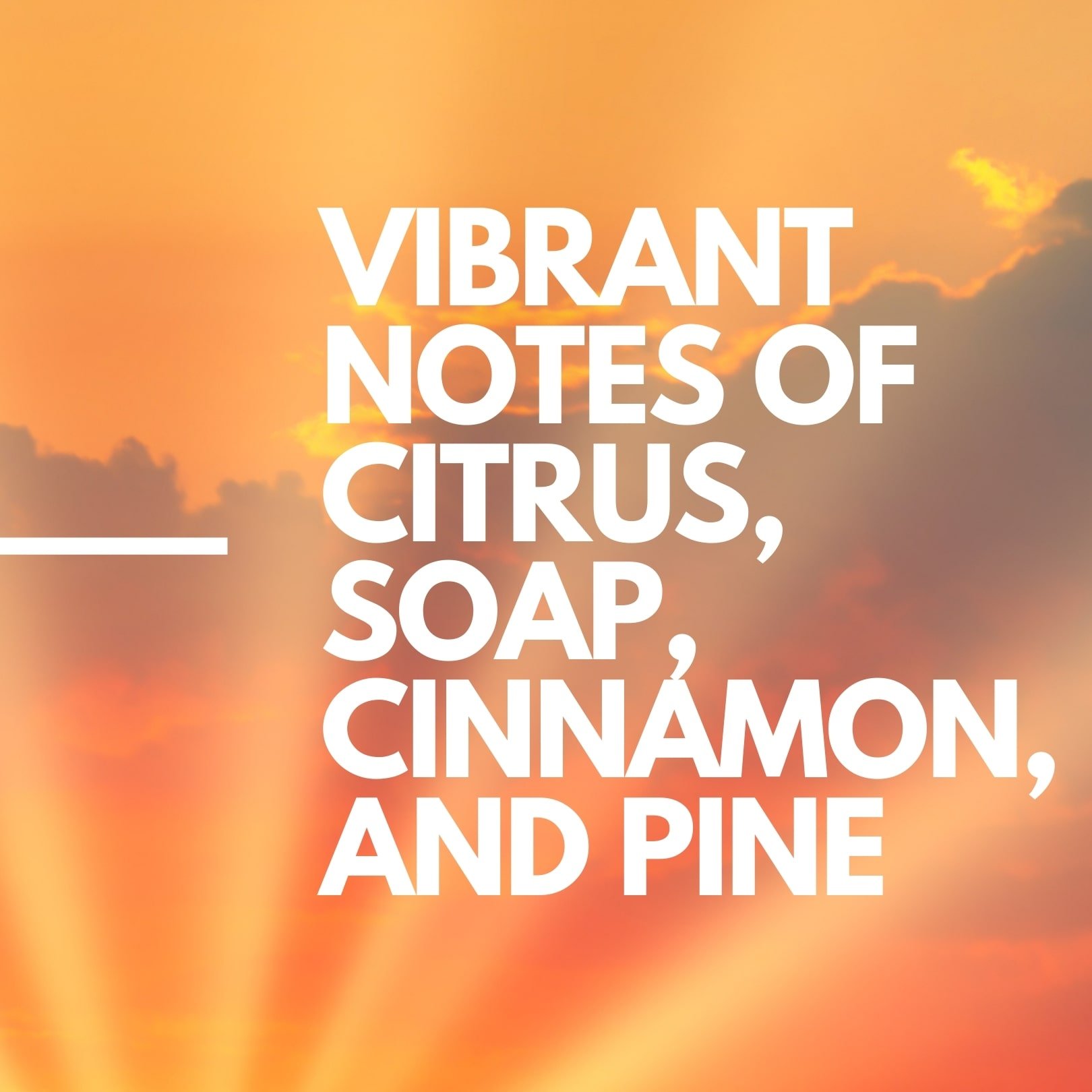SUNNY Z BY HOUSE OF SACCI:
This high-THC, terpene-rich indica born from Sunset Sherb x Zwish delivers a warm, fuzzy, and comforting body high with vibrant notes of citrus, soap, cinnamon, and pine.