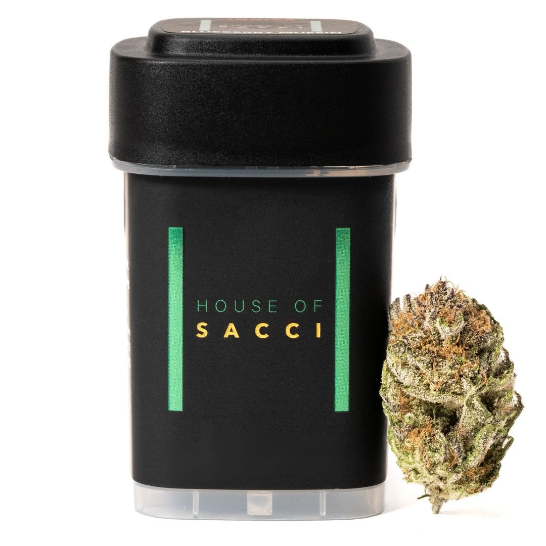 Indulge in the blissful embrace of our top-rated Blueberry Muffin. 🫐 

Could it be the relaxing effects, the blueberry fruity taste, or the uplifting yet tingly body high? You tell us 🙂🌟
 
#HouseOfSacci #blueberrymuffin #indica