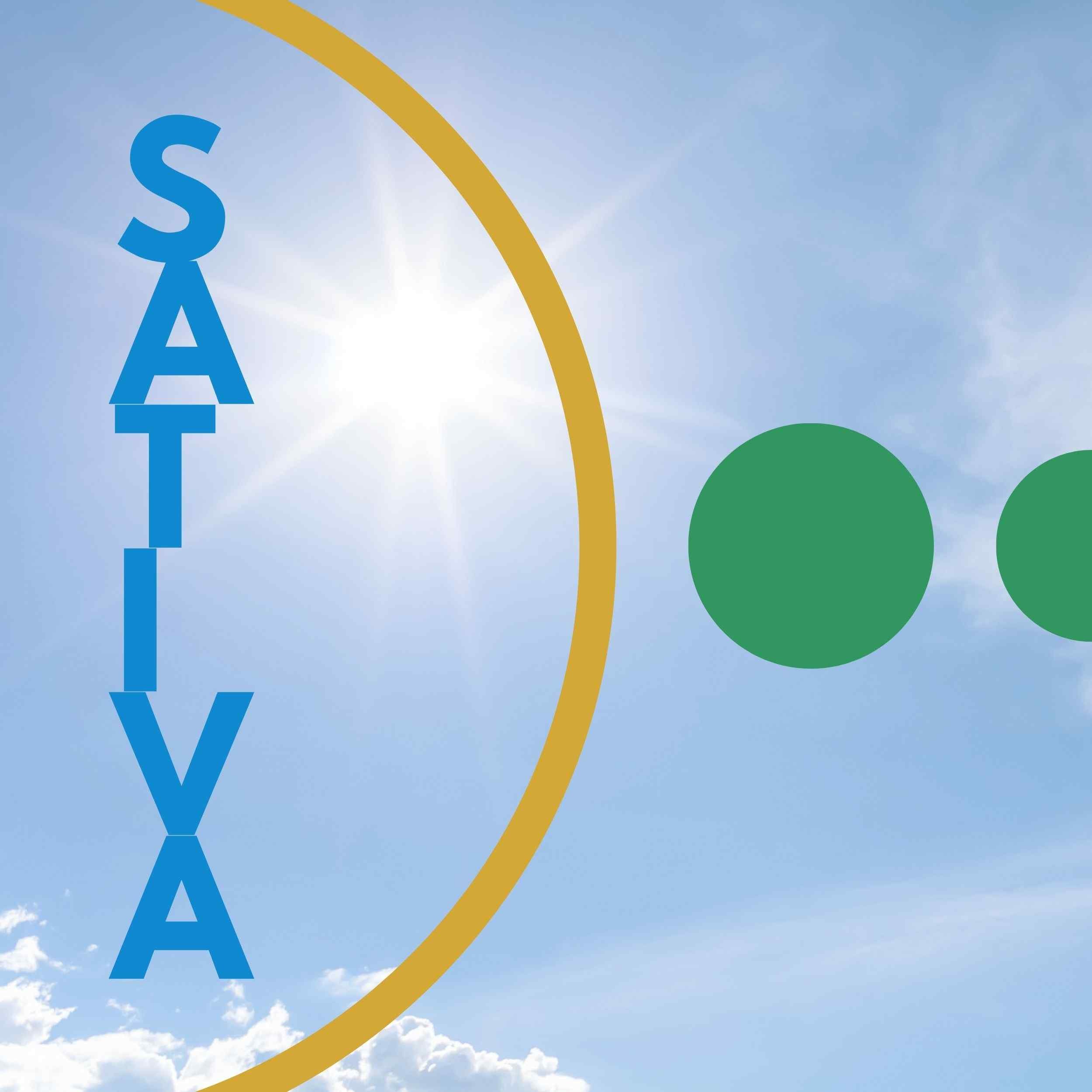 HAZMAT BY HOUSE OF SACCI:
Powerful and long-lasting, this cross of Chem 91 and Face-off OG delivers a euphoric high while keeping your mind clear and focused, perfect for taking on the day.