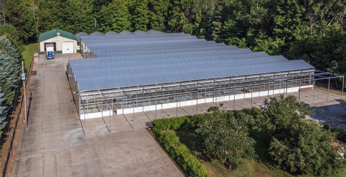 THIS IS THE ORIGINAL HOUSE OF SACCI GREENHOUSE BEFORE THE EXTENSIVE RENOVATIONS AND UPDATES.
