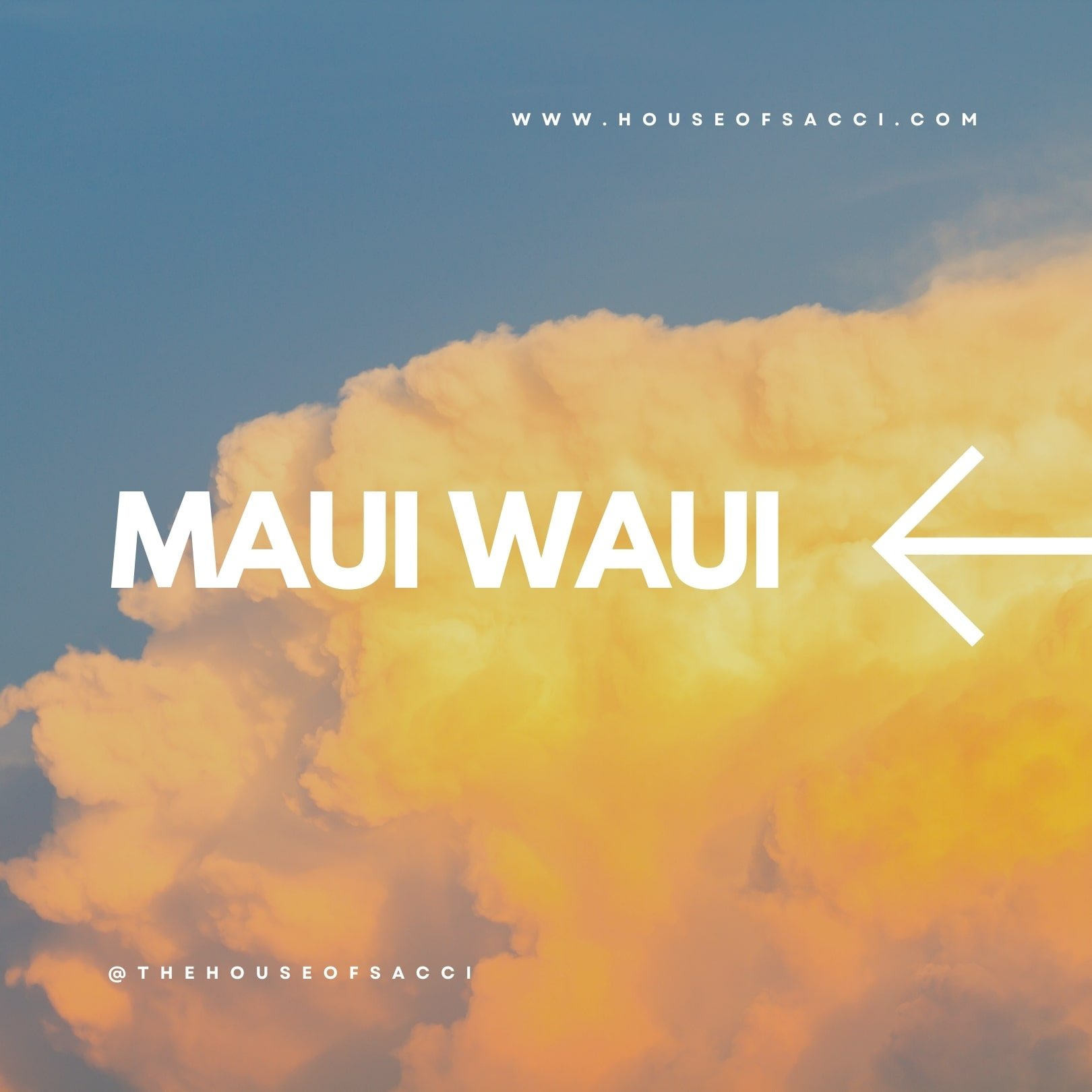 MAUI WAUI BY HOUSE OF SACCI:
Famous for its longevity and nostalgic pineapple flavor, this classic sativa transports you to the shores of Hawaii with uplifting, creative effects that spark optimism and energize the mind.