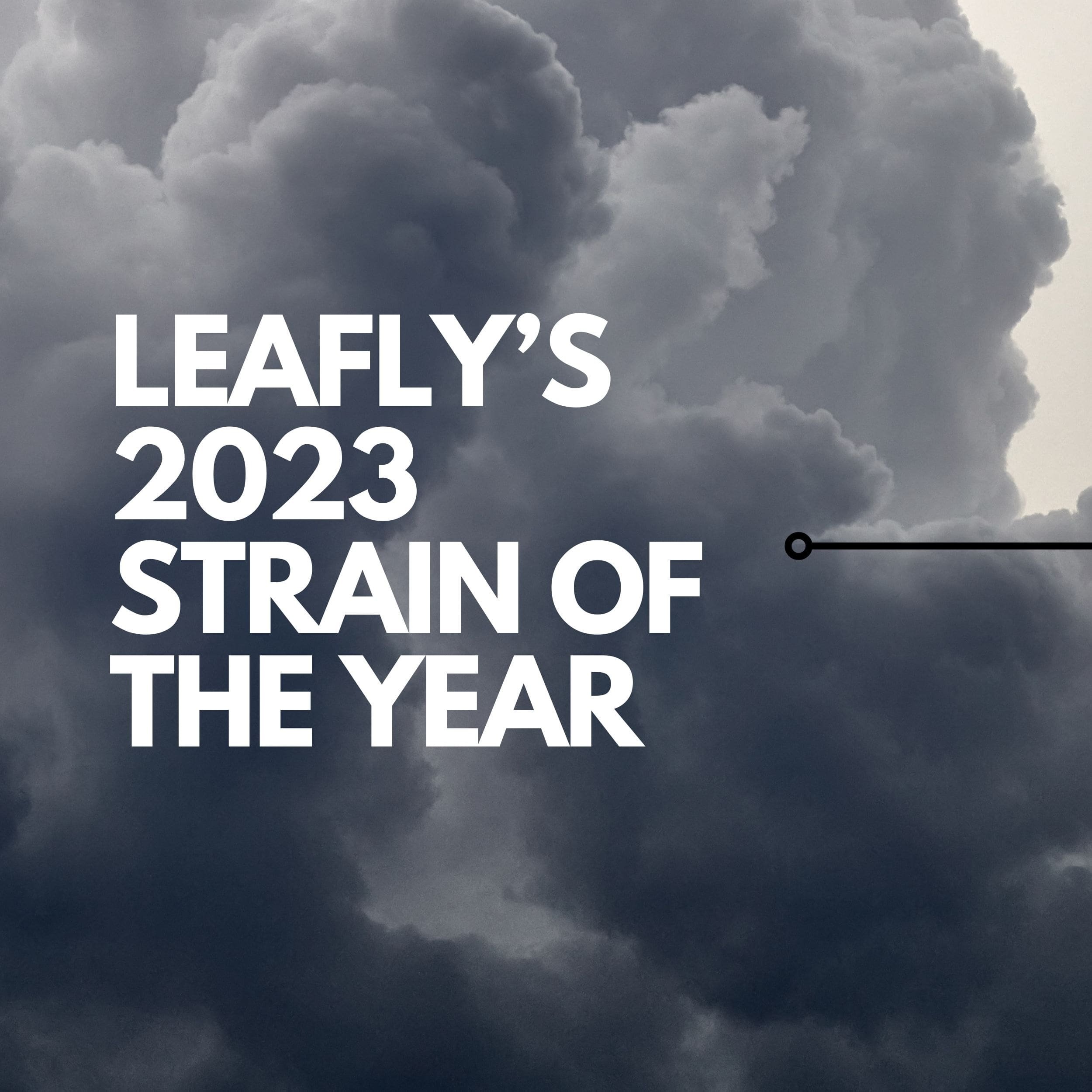 PERMANENT MARKER BY HOUSE OF SACCI:
Leafly’s 2023 Strain of the Year delivers a pungent, gassy fruit aroma with a hint of that signature Sharpie-marker essence. Expect a creative spark with deeply relaxing effects.