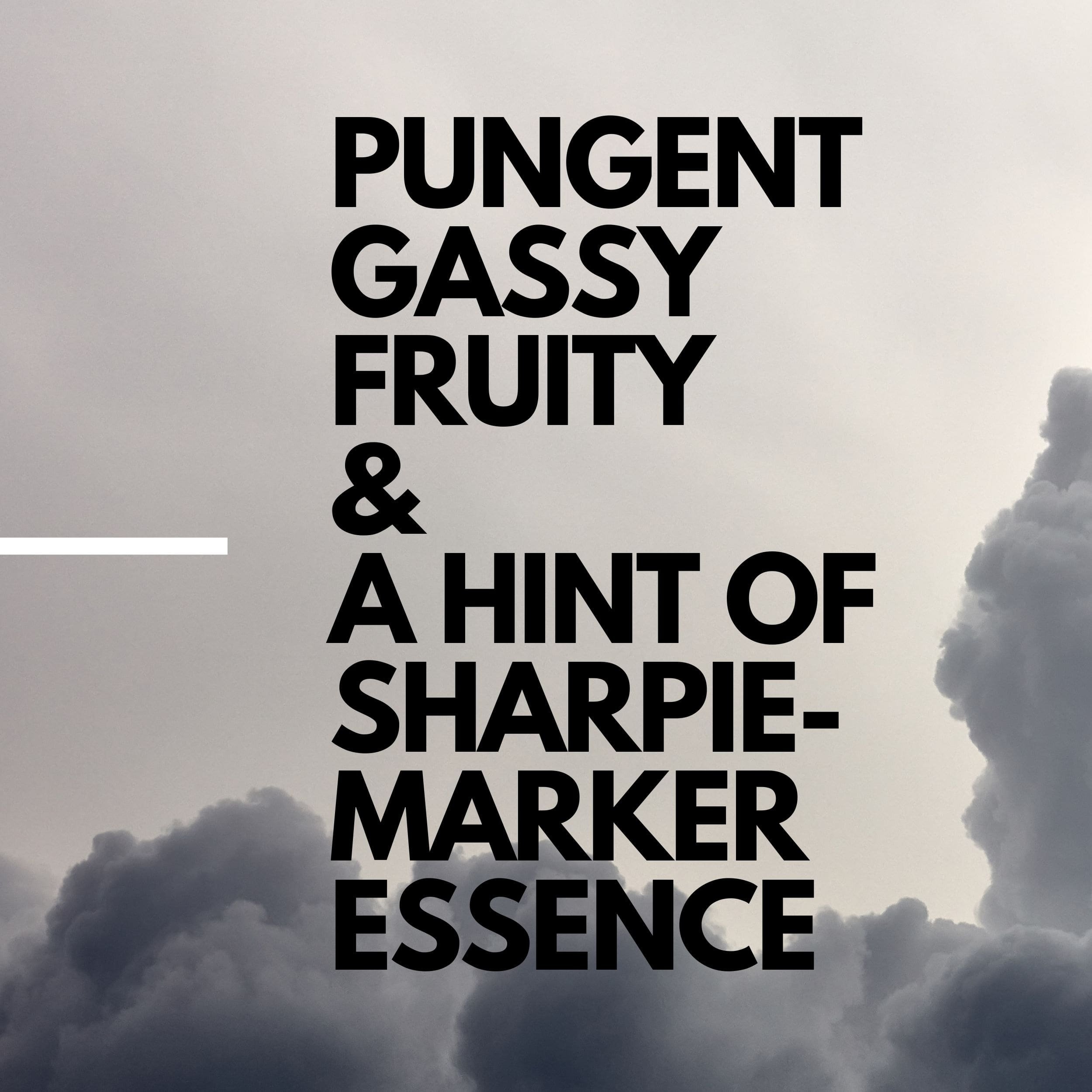 PERMANENT MARKER BY HOUSE OF SACCI:
Leafly’s 2023 Strain of the Year delivers a pungent, gassy fruit aroma with a hint of that signature Sharpie-marker essence. Expect a creative spark with deeply relaxing effects.