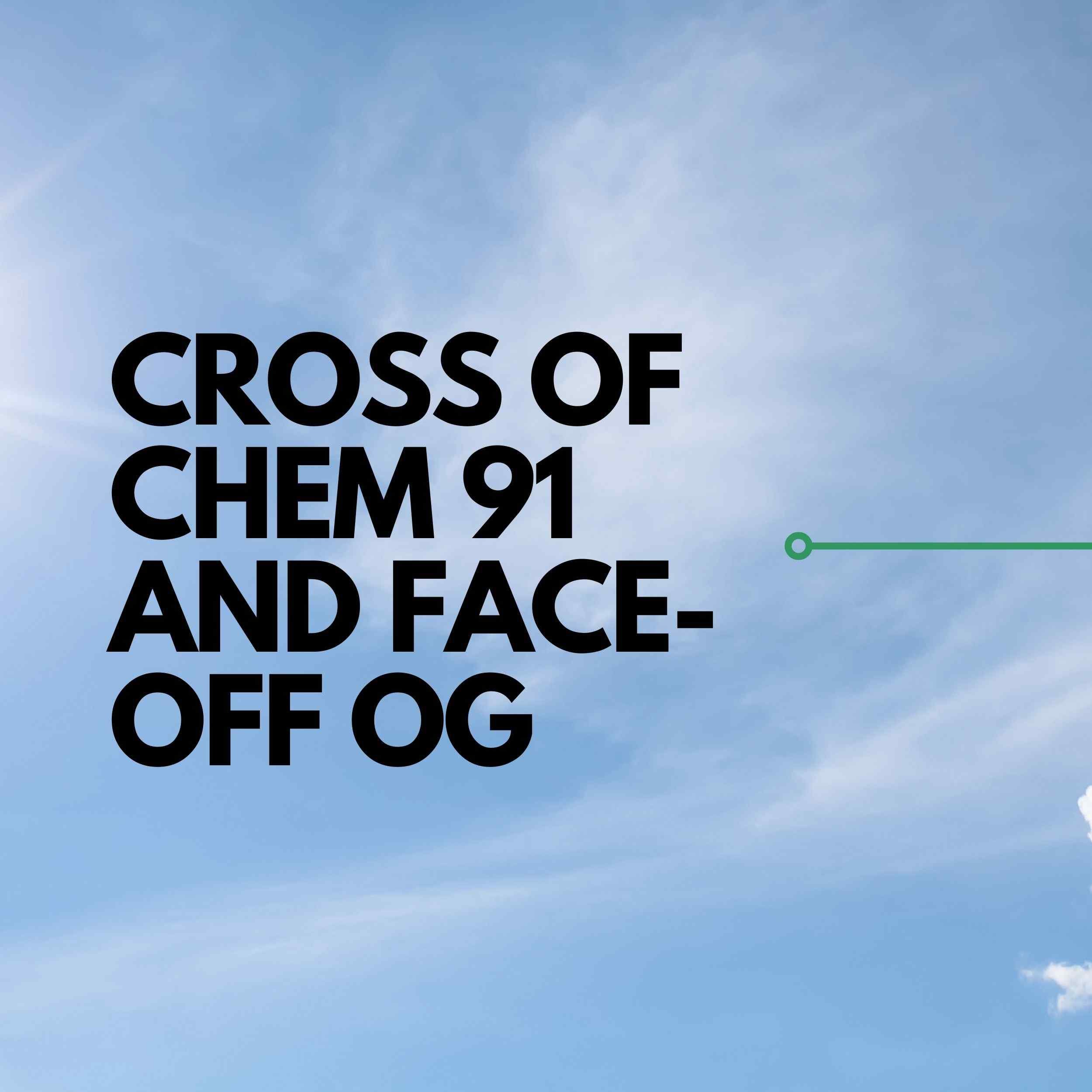 HAZMAT BY HOUSE OF SACCI:
Powerful and long-lasting, this cross of Chem 91 and Face-off OG delivers a euphoric high while keeping your mind clear and focused, perfect for taking on the day.
