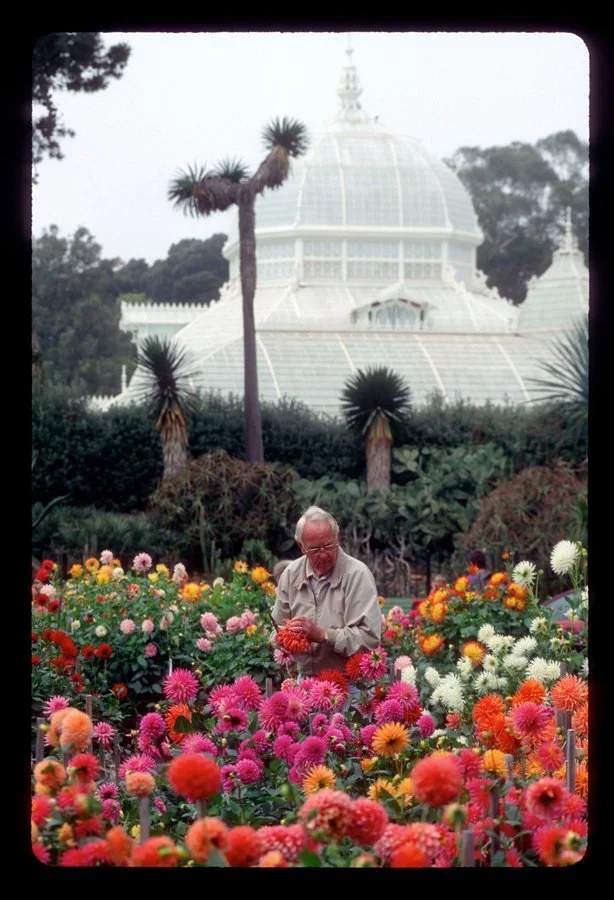 Another day in the Dell (SF Conservatory of Flowers in background)