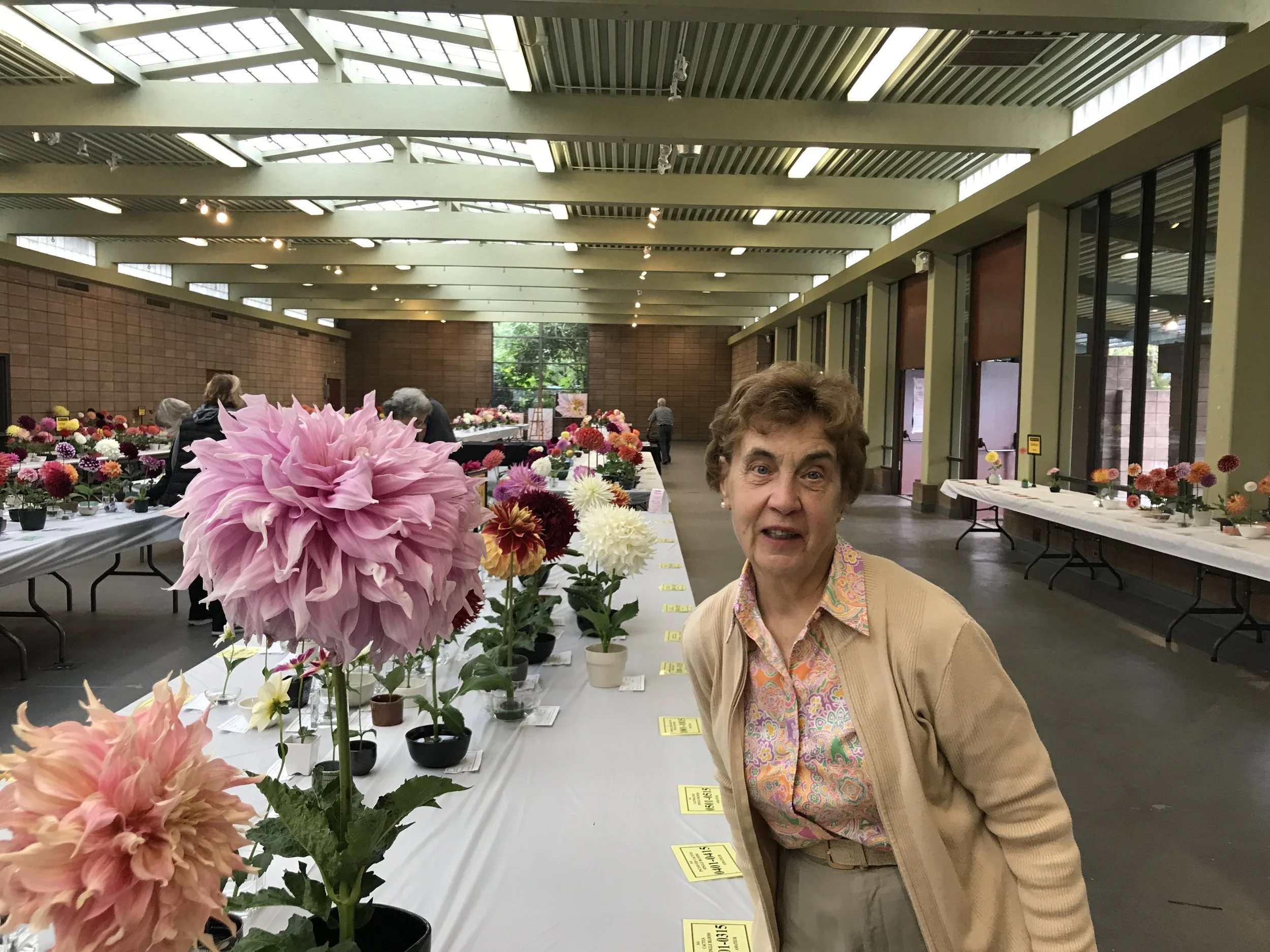 Lucy's head is smaller than this bloom!
