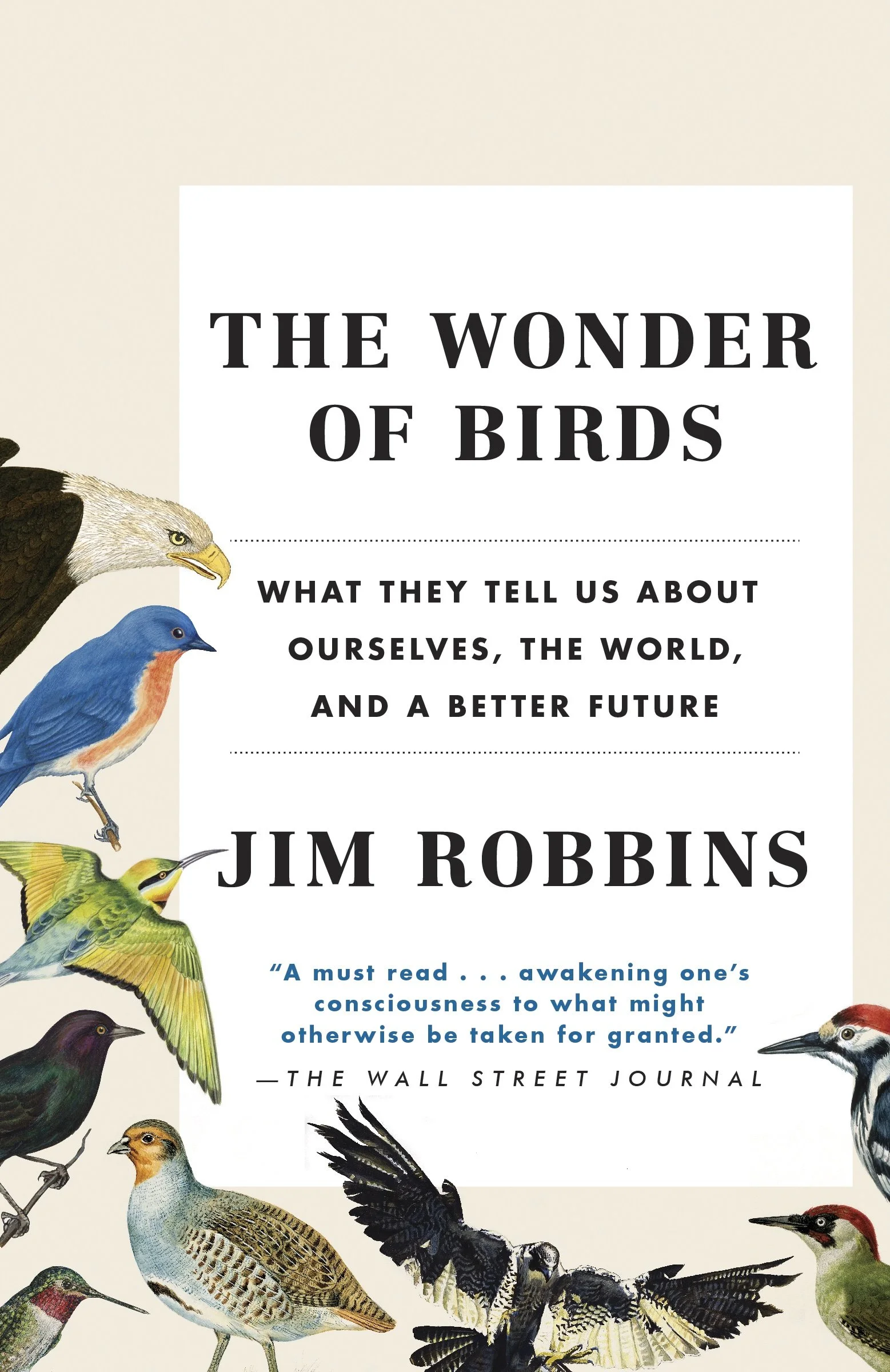 JR-WonderOfBirdsPAPER US.jpg