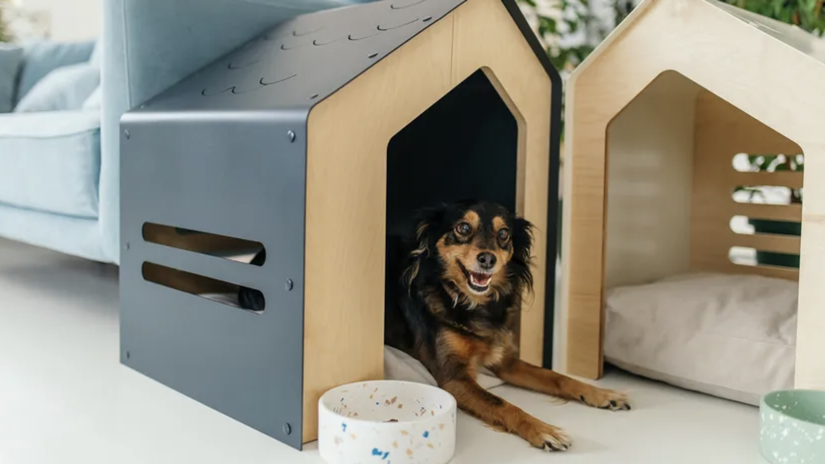 Bow-WOW! Check Out These Luxe Pet Amenities for Your Home</a>