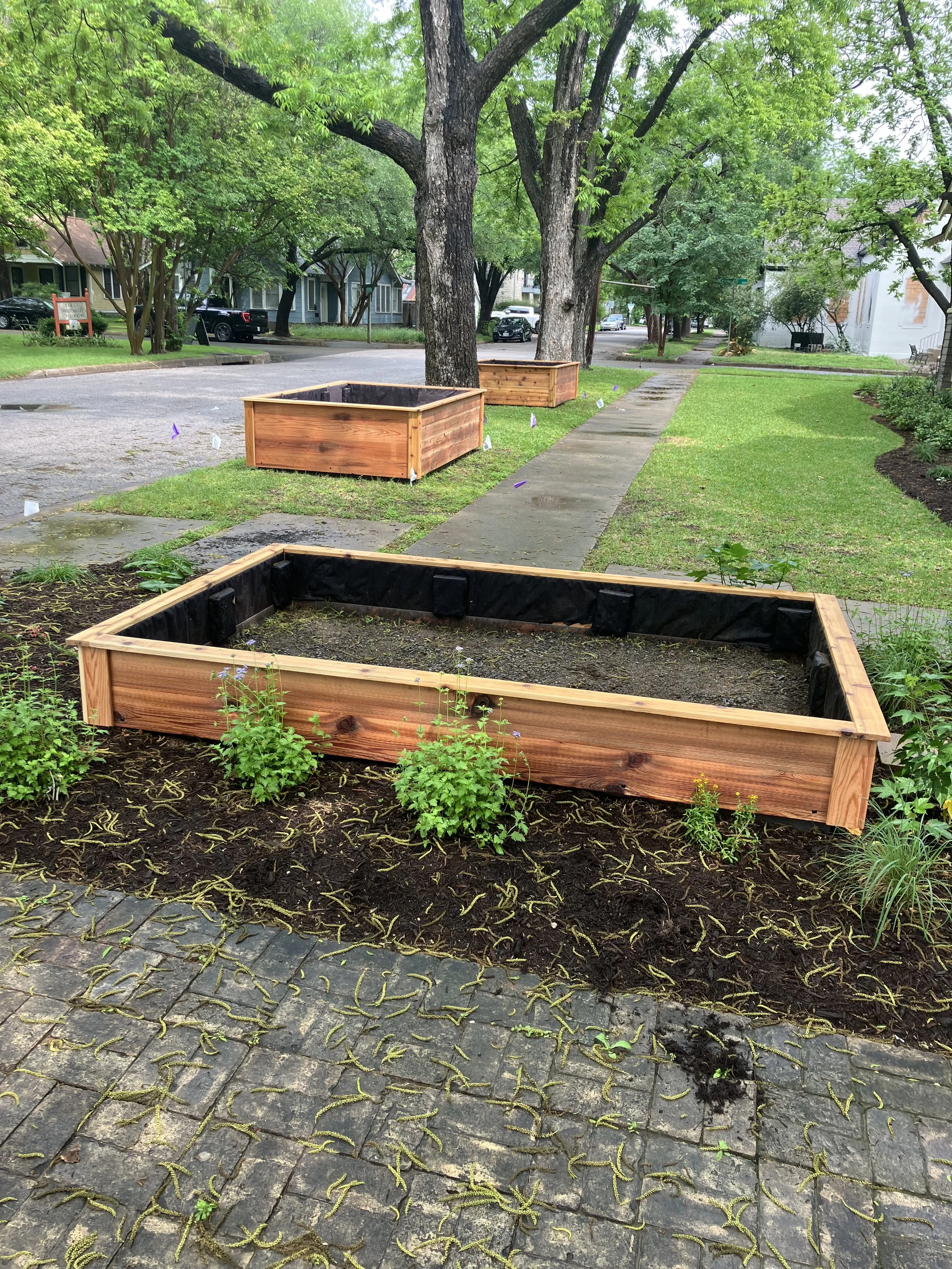 Raised Beds HP 3.jpg