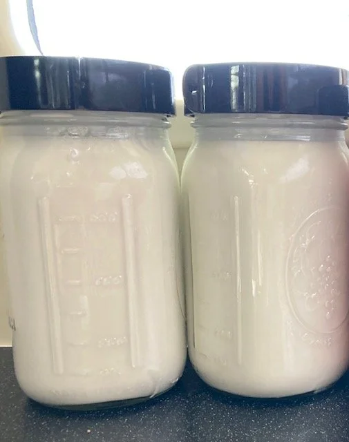 Homemade Coconut Yogurt