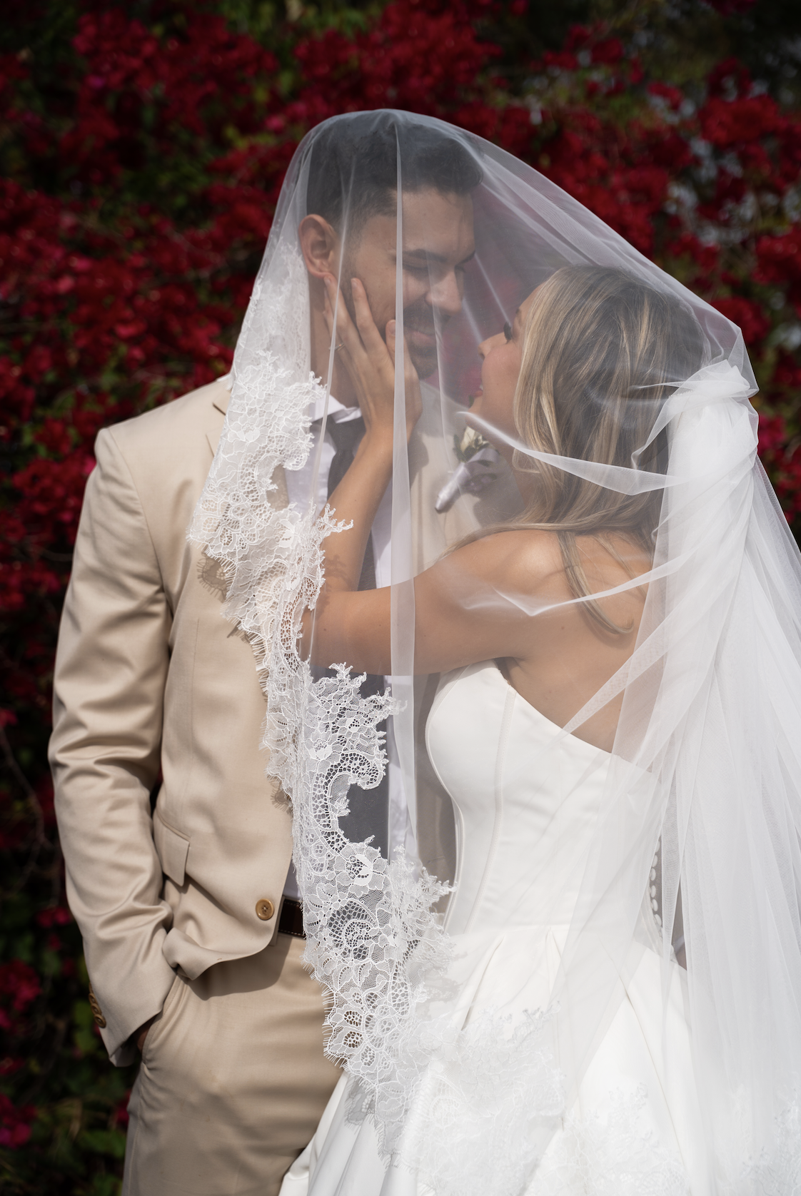 Screenshot 2026-02-11 at 12.56.28 PM.png