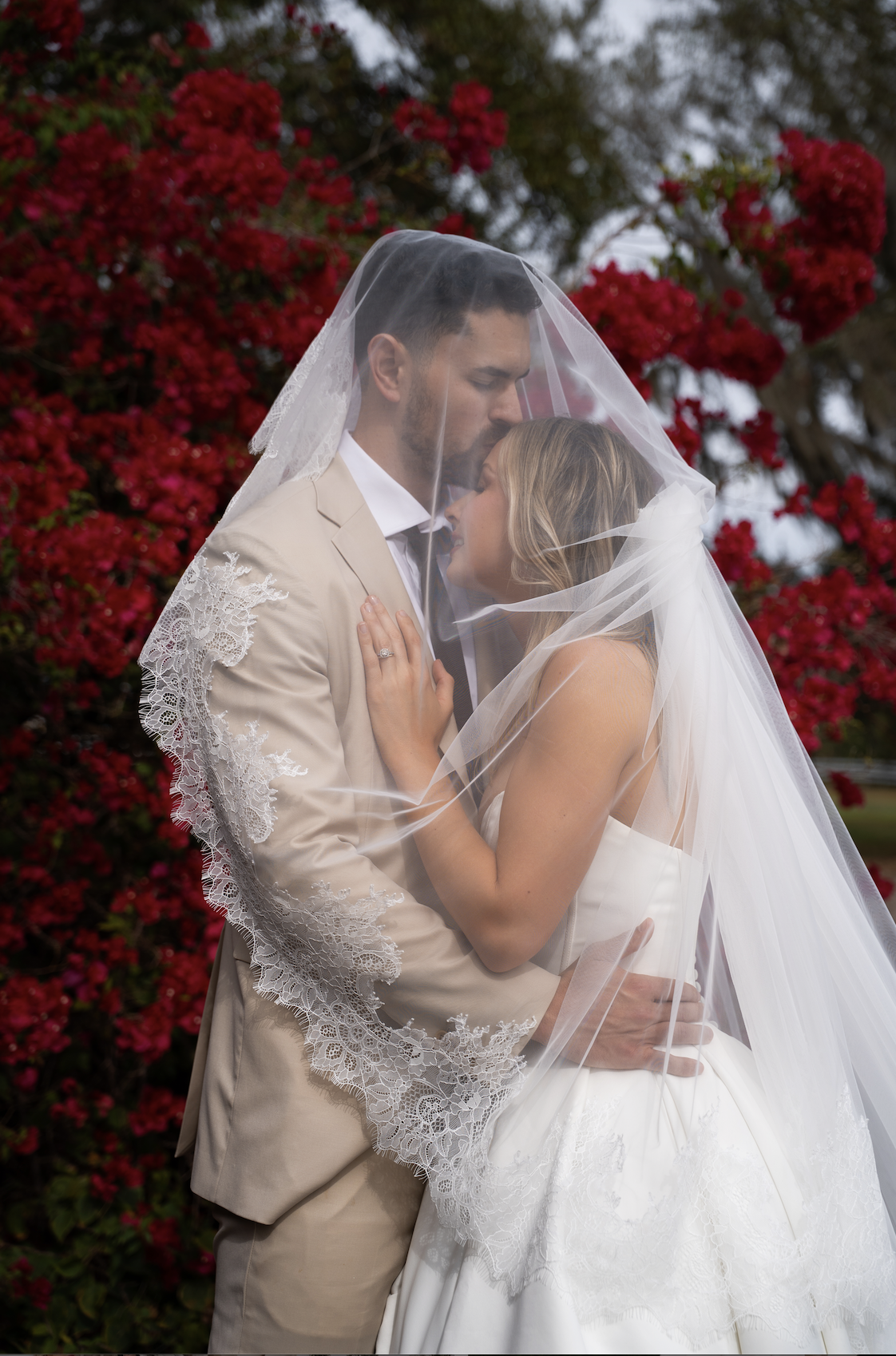 Screenshot 2026-02-11 at 12.56.38 PM.png