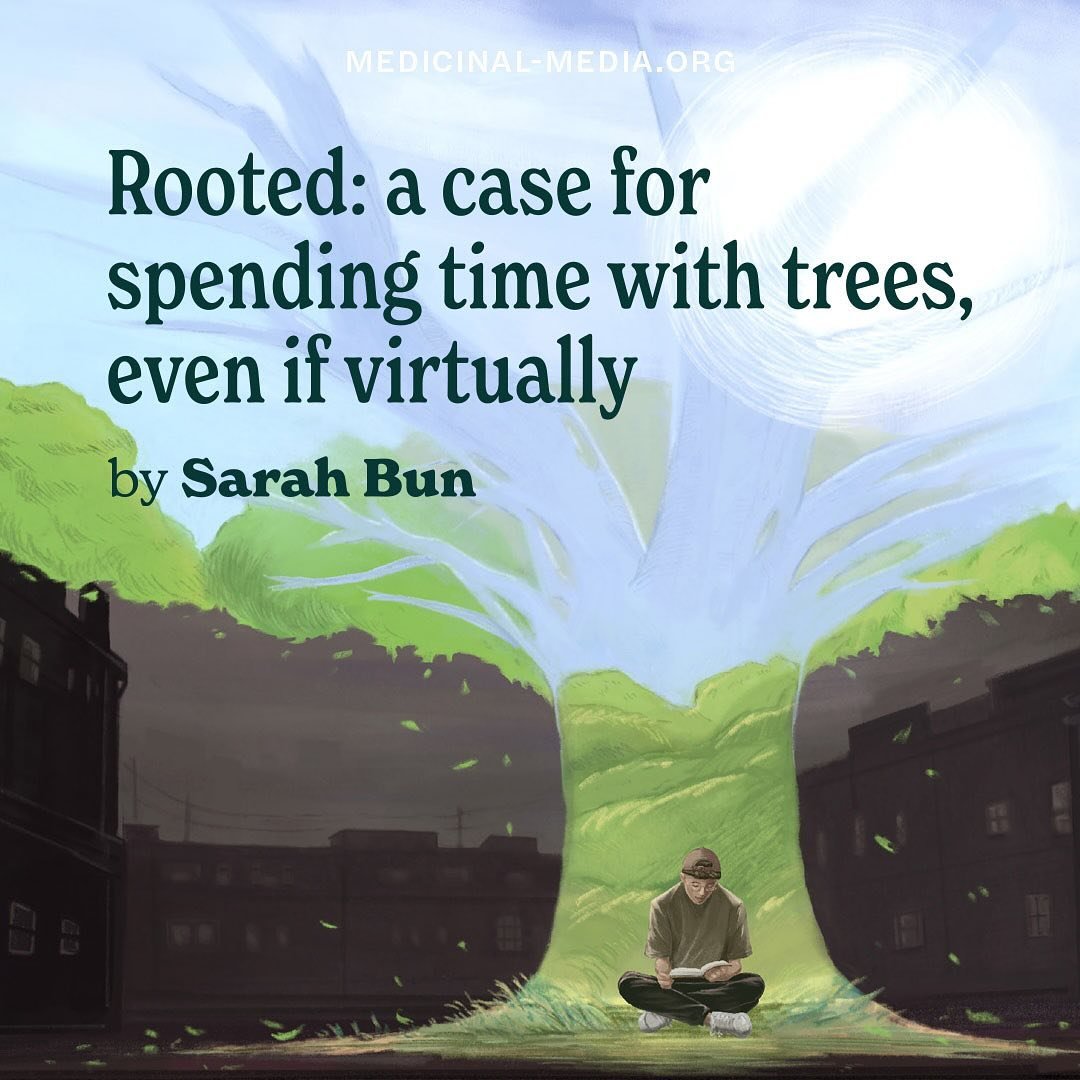 Trees are nature&rsquo;s healers, offering solace and tranquility in a busy world. They cleanse our air, calm our minds, and provide a space for renewal and reflection. From immersive virtual forests to real-life meditations, we&rsquo;re taking a div