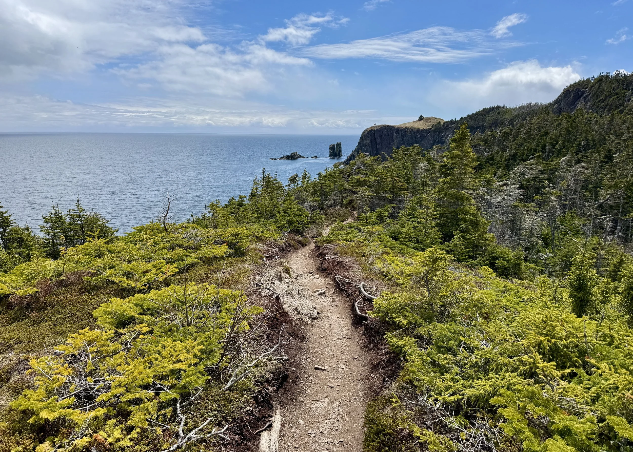 Bain There, Done That: Hiking Newfoundland’s World-Famous Skerwink Trail