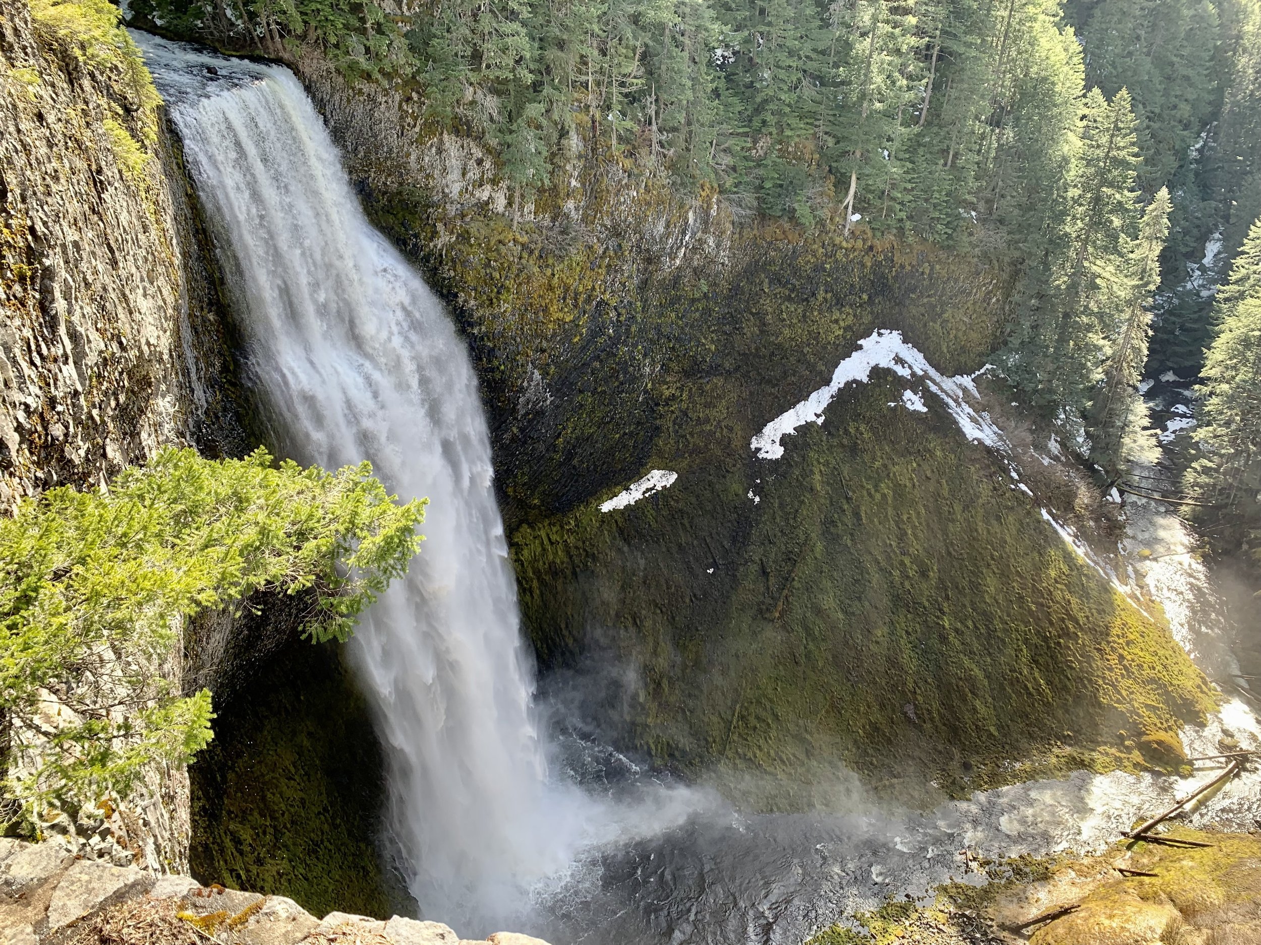 Road Tripping in Oregon