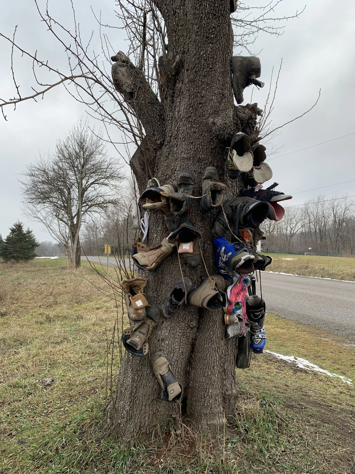 4 Fun Day Trips Near Toronto