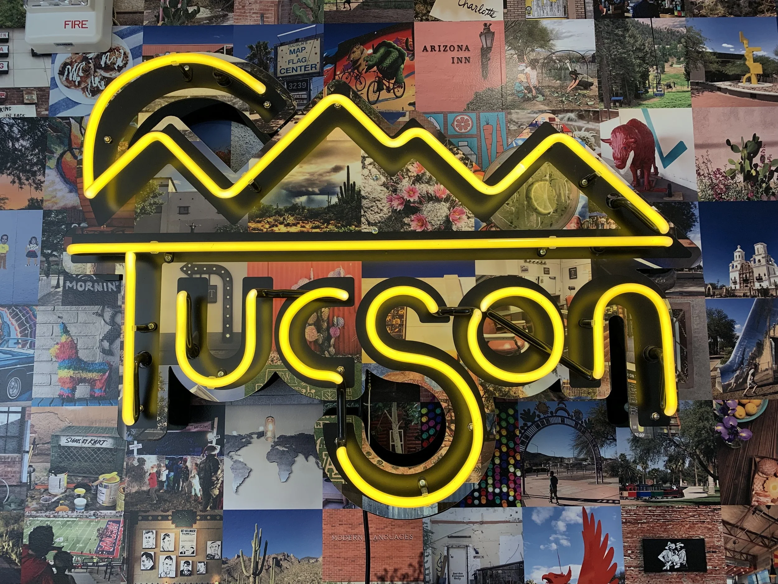  Saguaros, Sunshine and Gastronomy in Tucson, Arizona