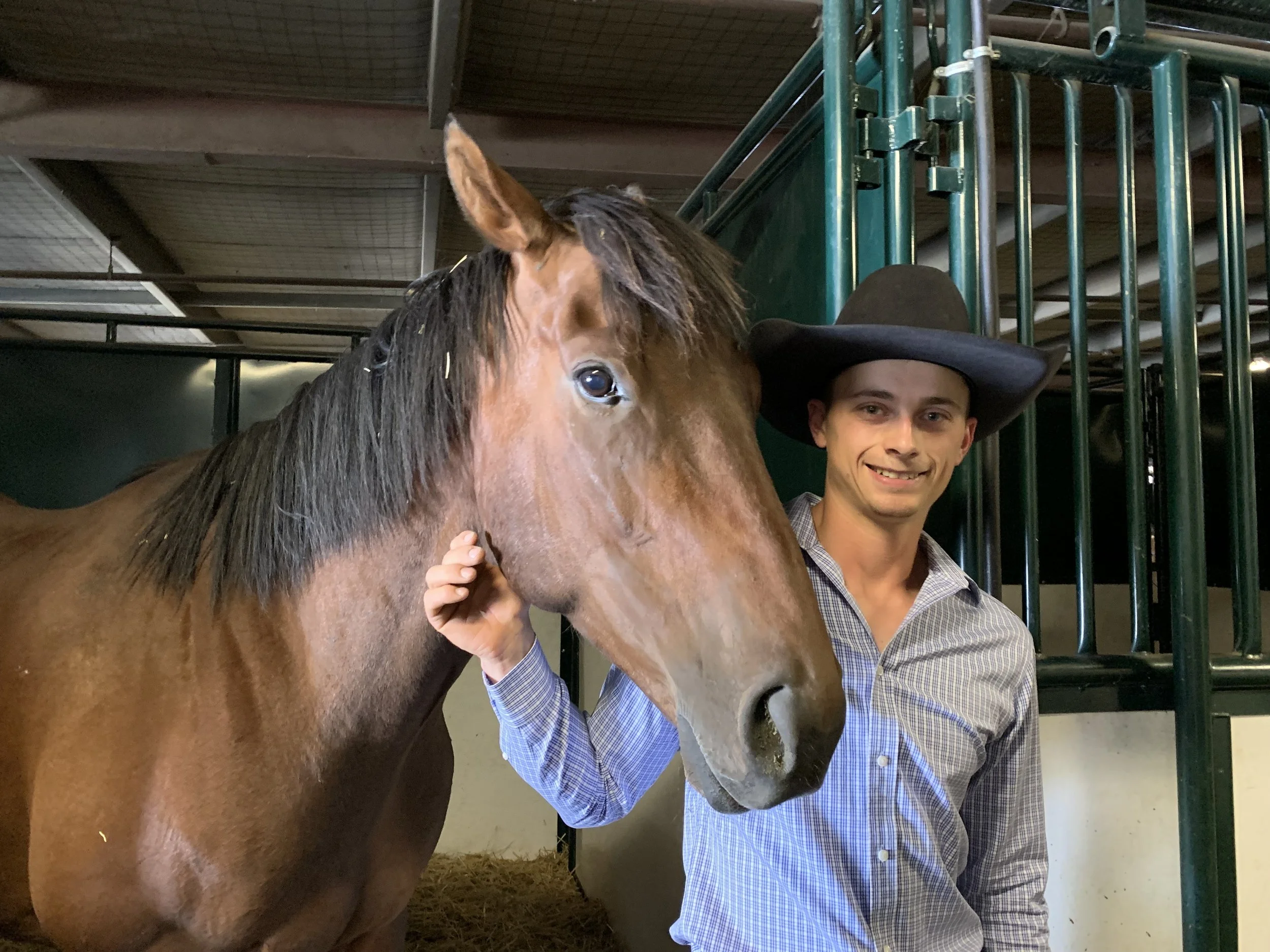 How to Catch Stampede Fever? Put on a Cowboy Hat!
