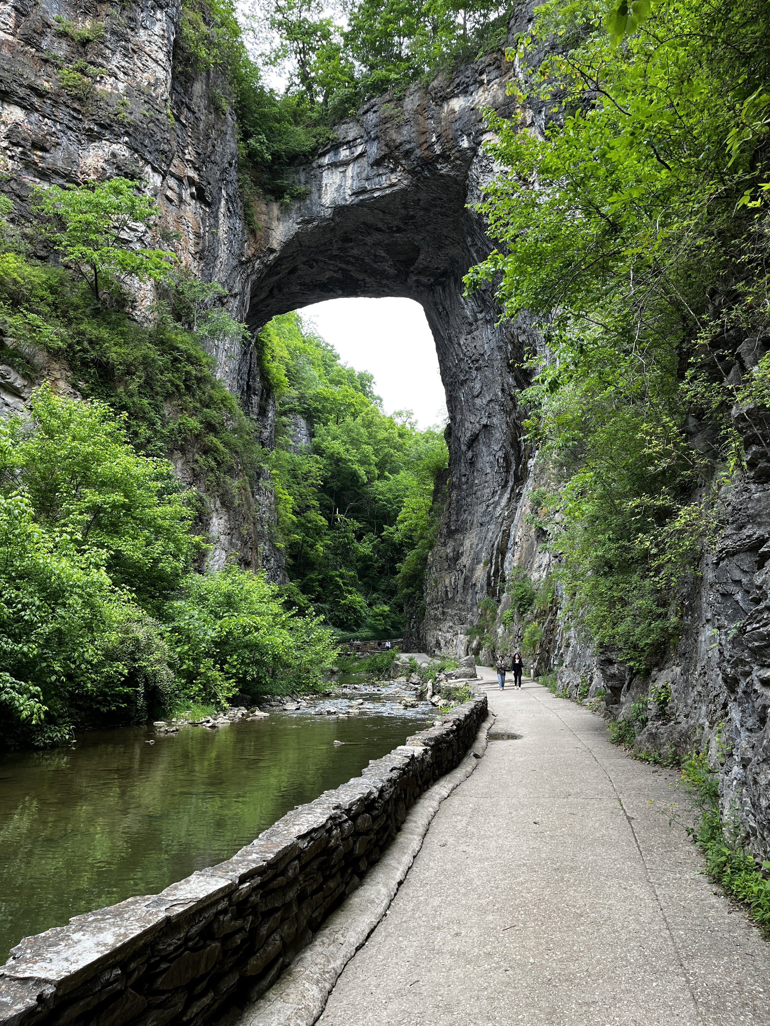 Natural Bridge State Park