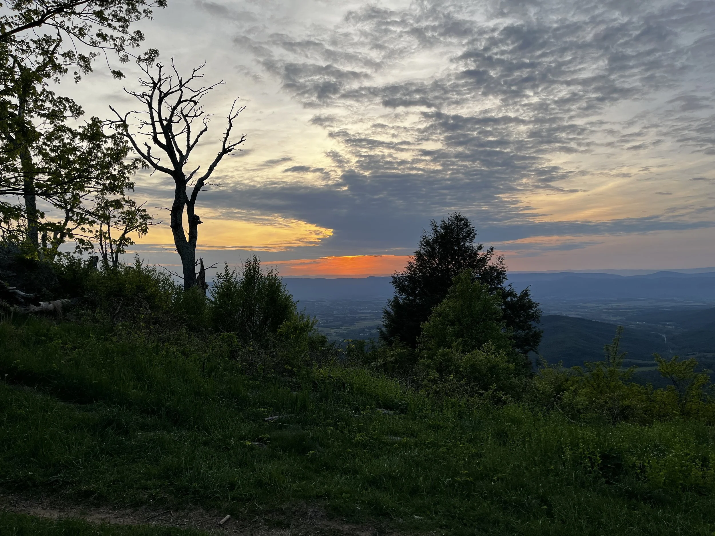 Adventure Aplenty in Virginia’s Shenandoah Valley