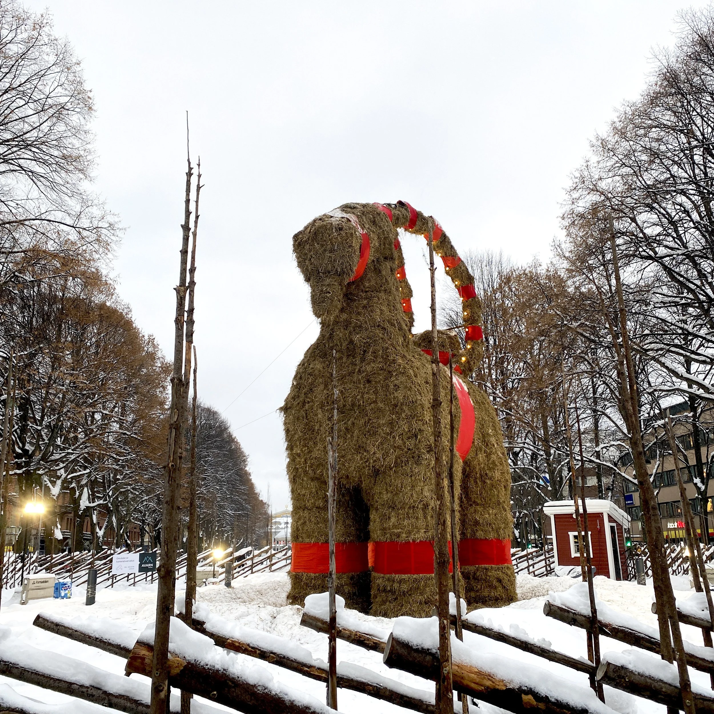 10 Cool Christmas Traditions From Around the World