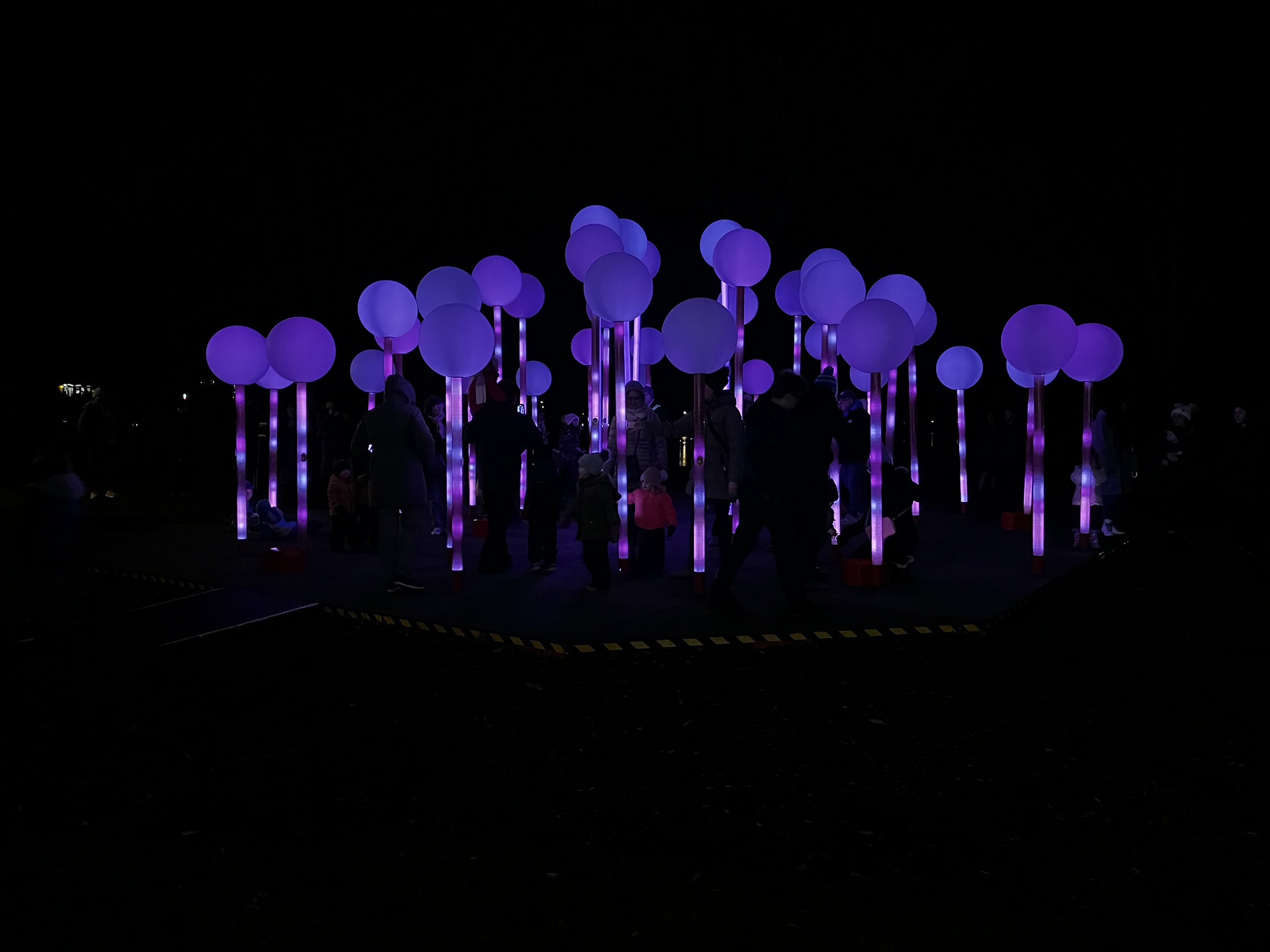 Lights On Stratford Festival 11.JPG
