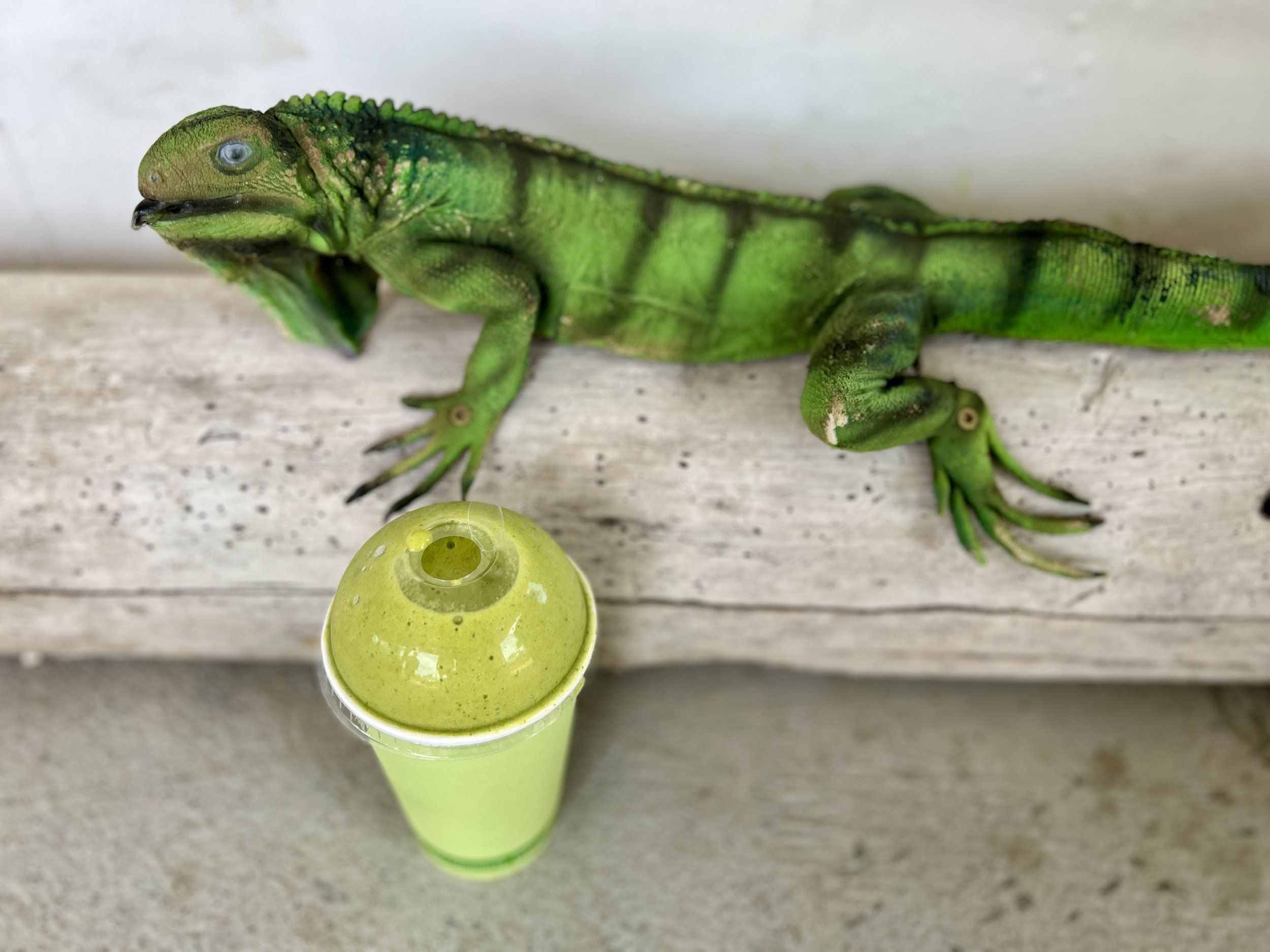 A Wild Green juice from Mauchi Smoothies in Savaneta CREDIT Jennifer Bain.jpg