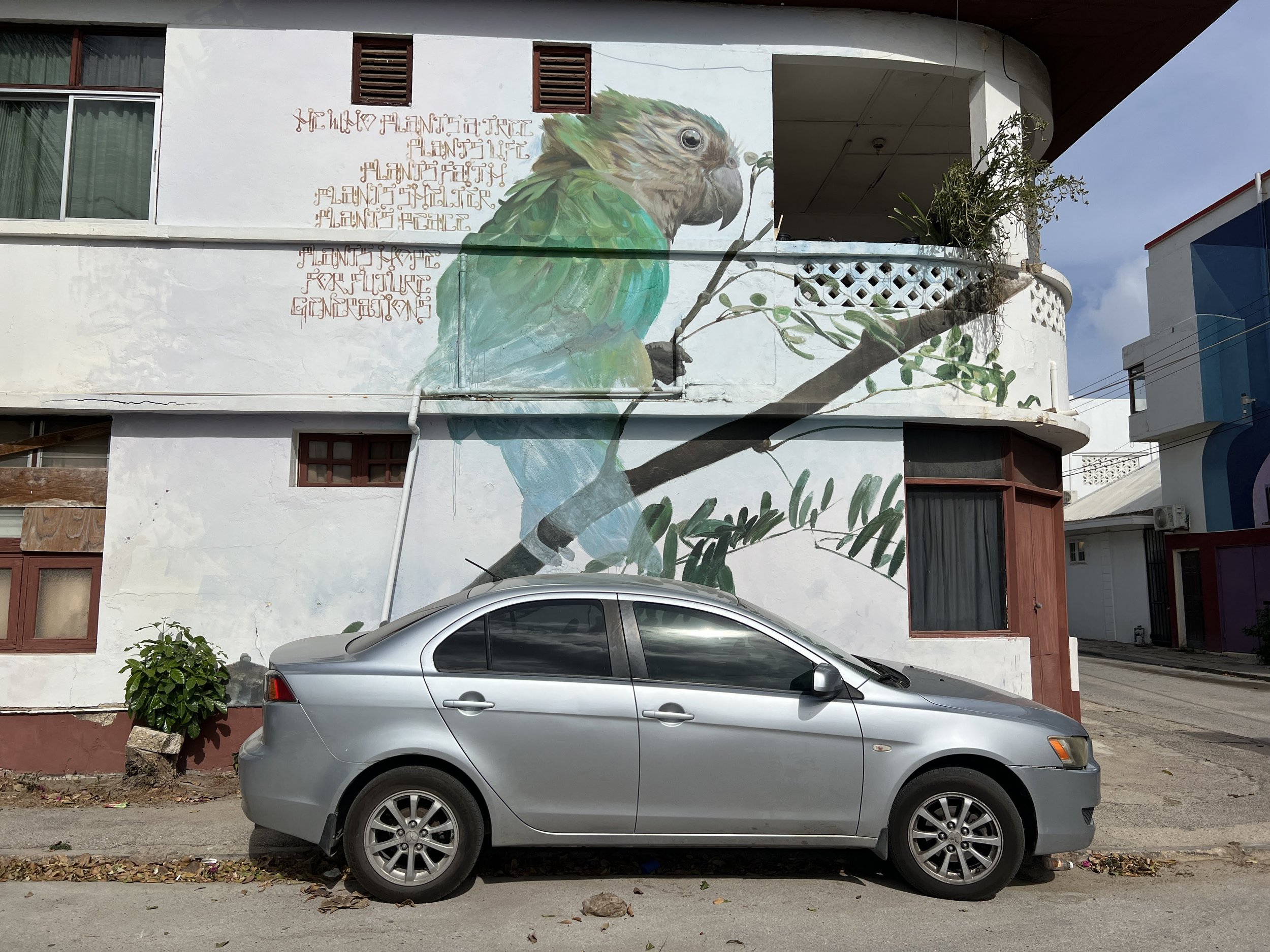 Prikichi mural in San Nicolas by Garrick Marchena CREDIT Jennifer Bain.JPG