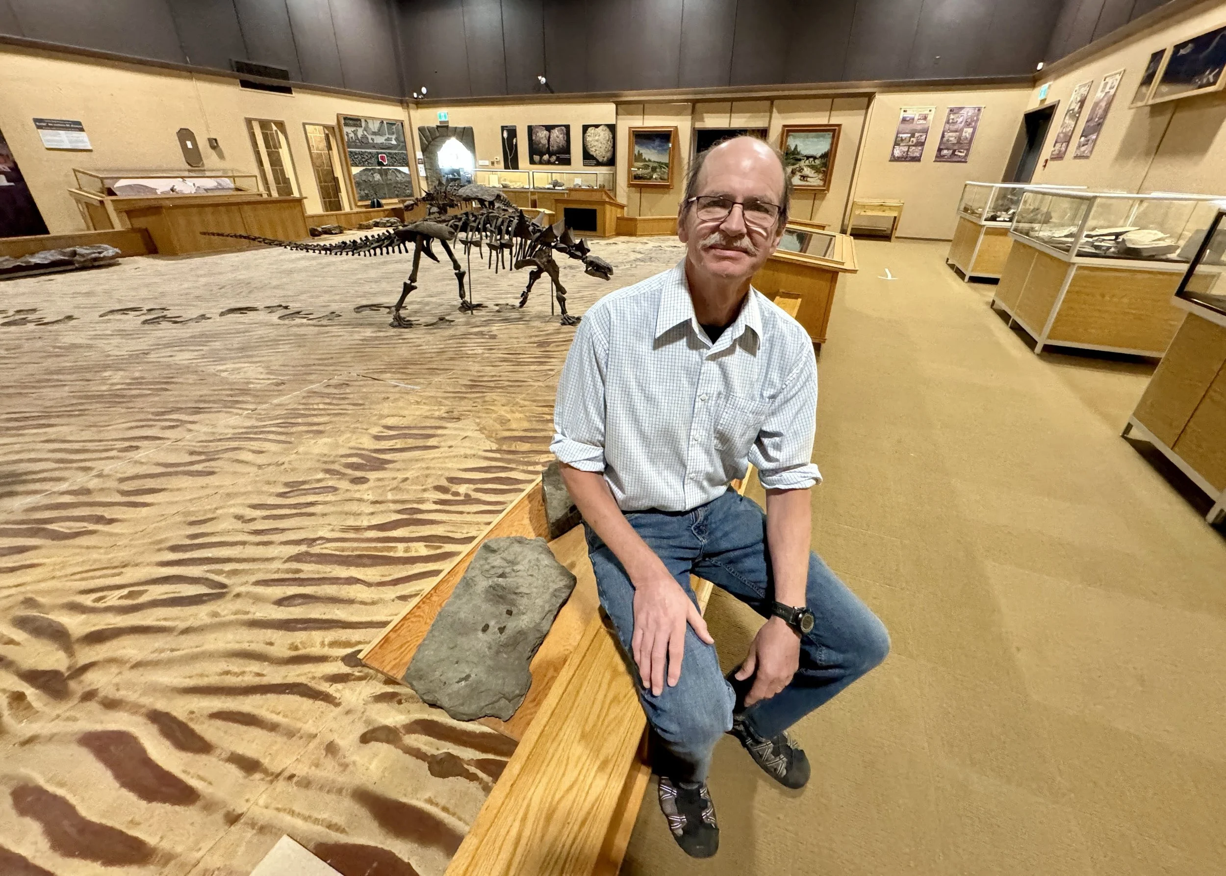 Dinosaur Trackways And Other Reasons To Love Tumbler Ridge, British ...