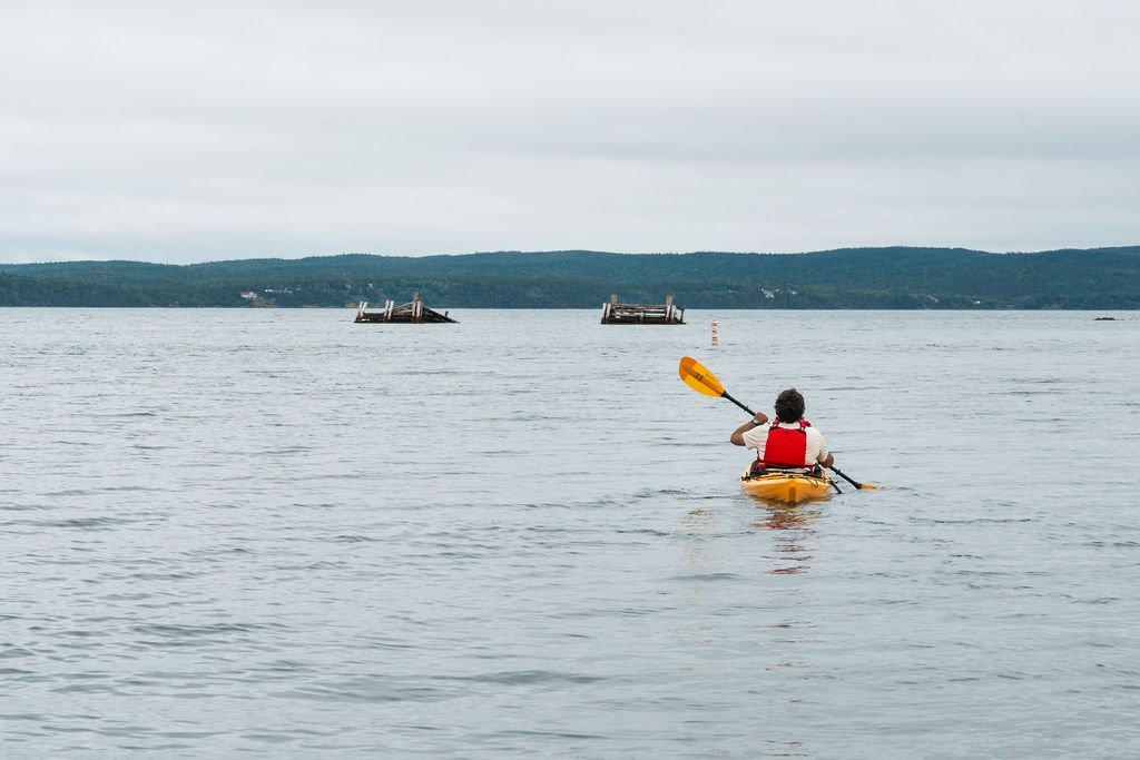 Kayaking+in+Clarenville+6.jpg