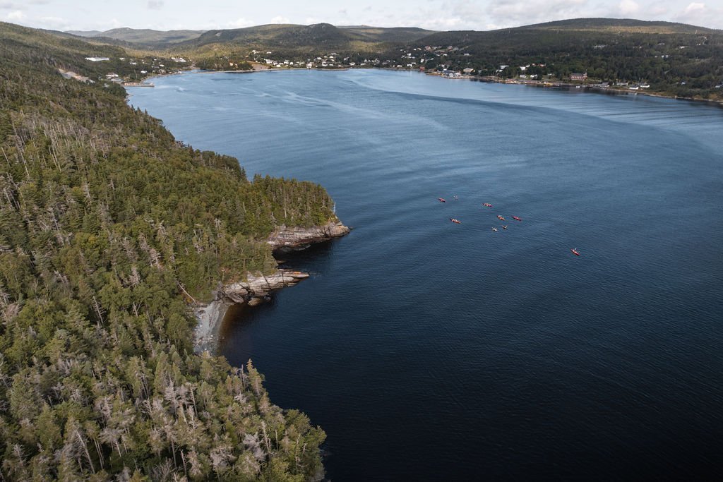 Sea+Kayaking+in+Cape+Broyle+10.jpg