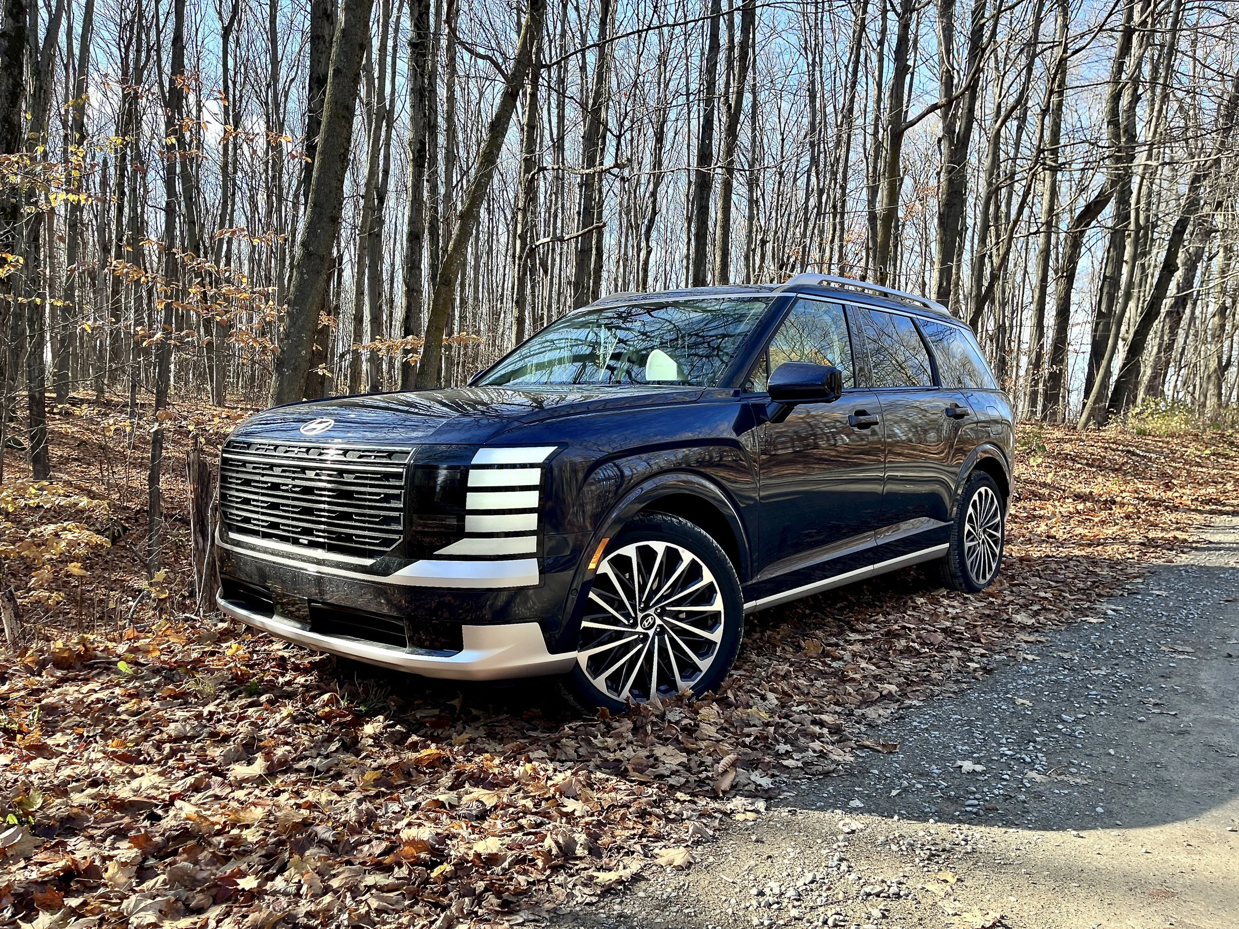 Road Trip Rides - 2026 Hyundai Palisade Hybrid