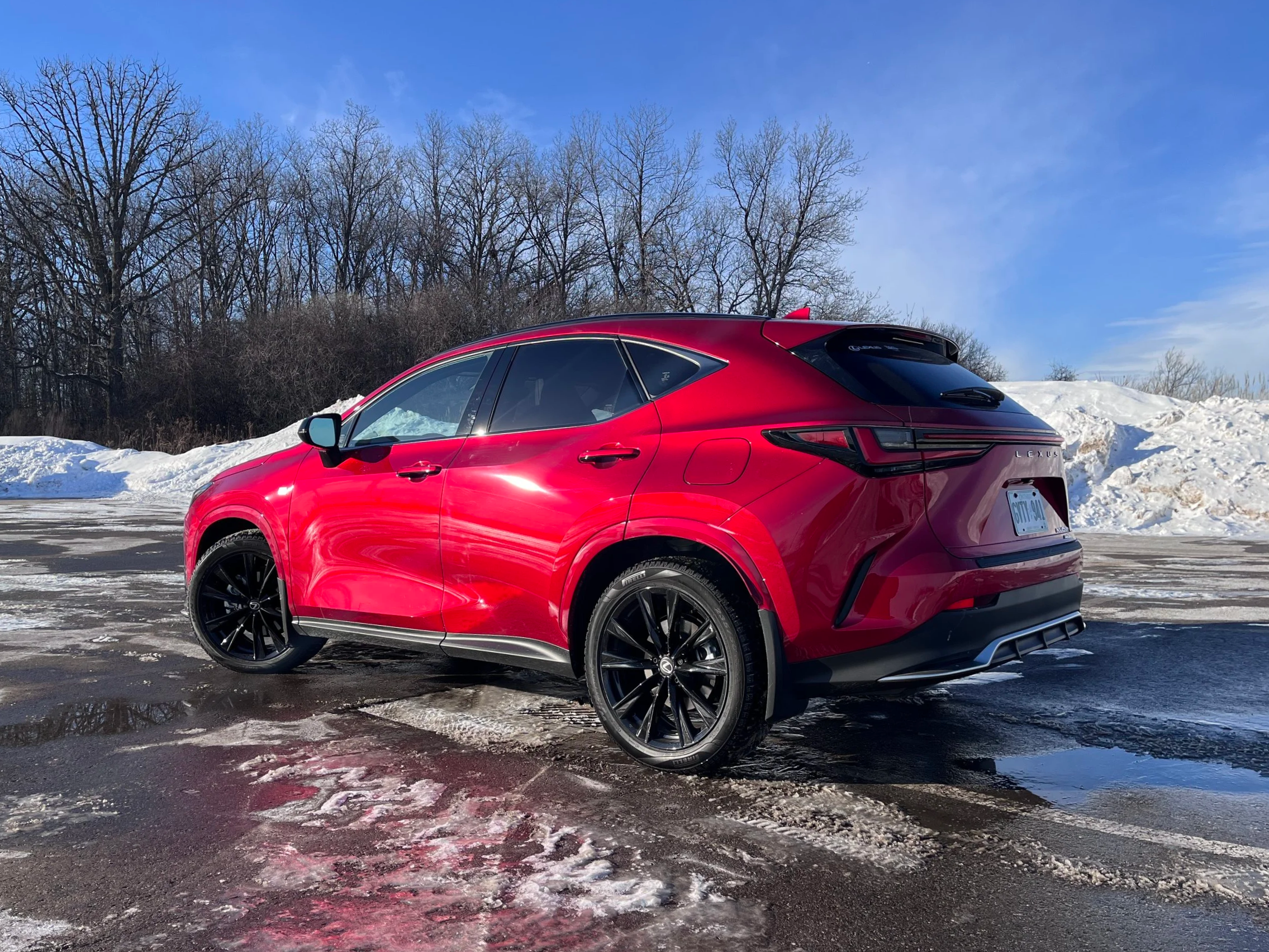 Road Trip Rides: 2026 Lexus NX
