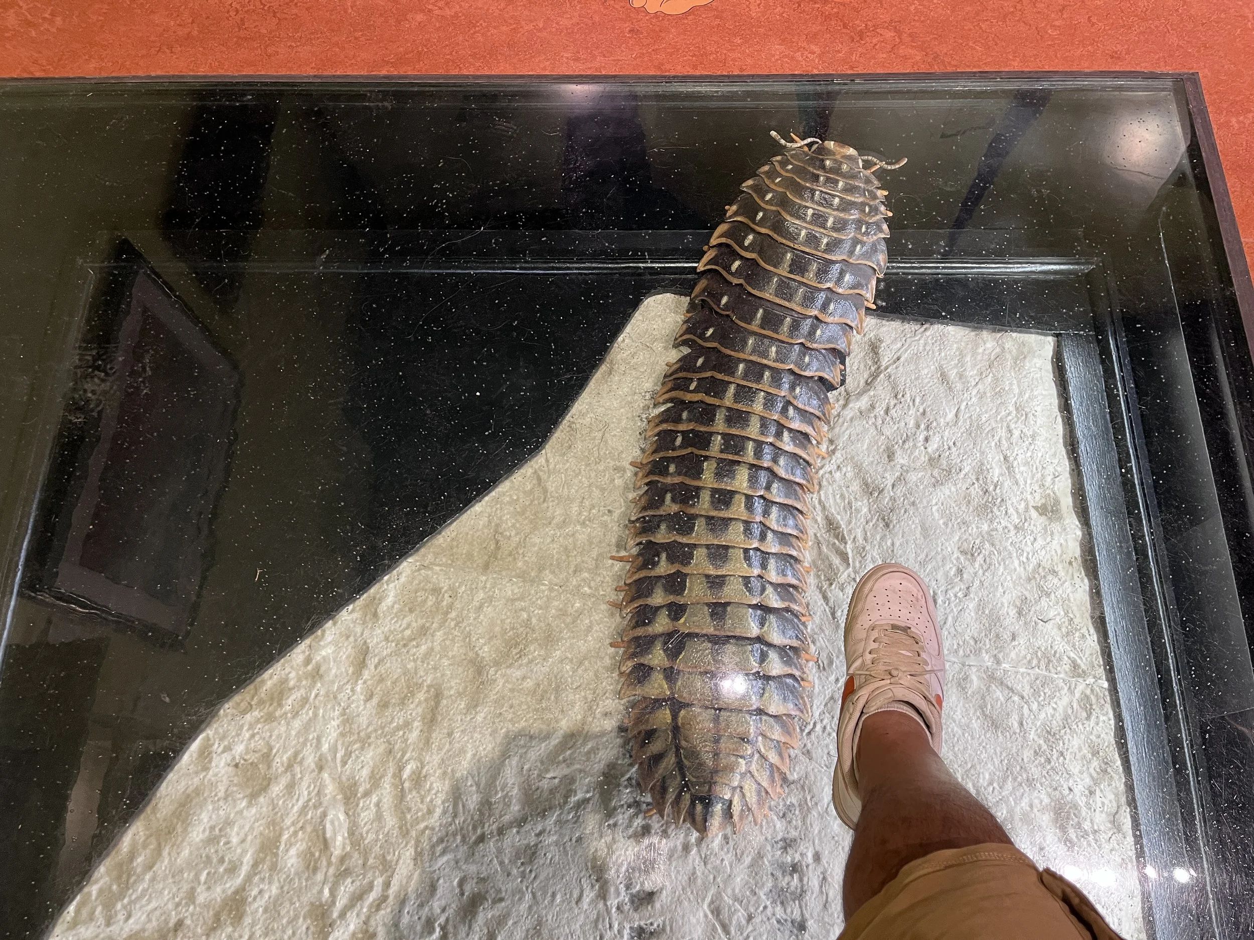 ​Fundy Geological Museum 2.JPG