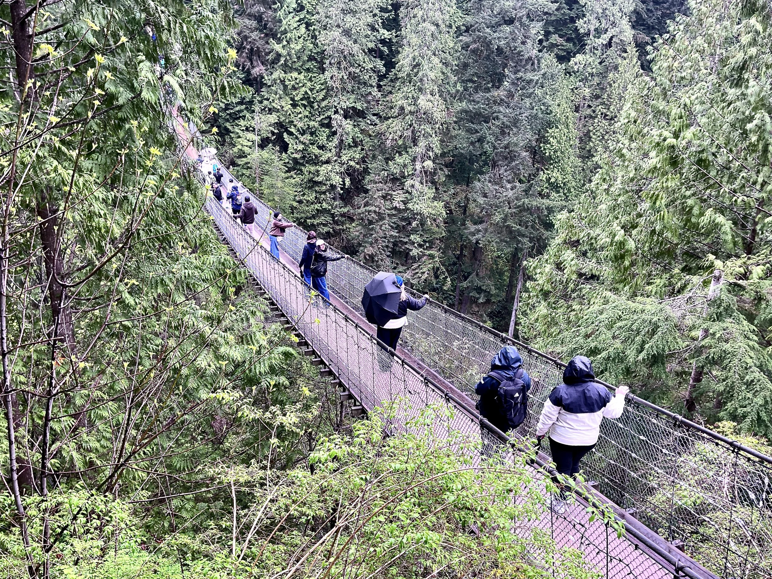 Capilano Suspension Bridge Modern Traveller 2.JPG