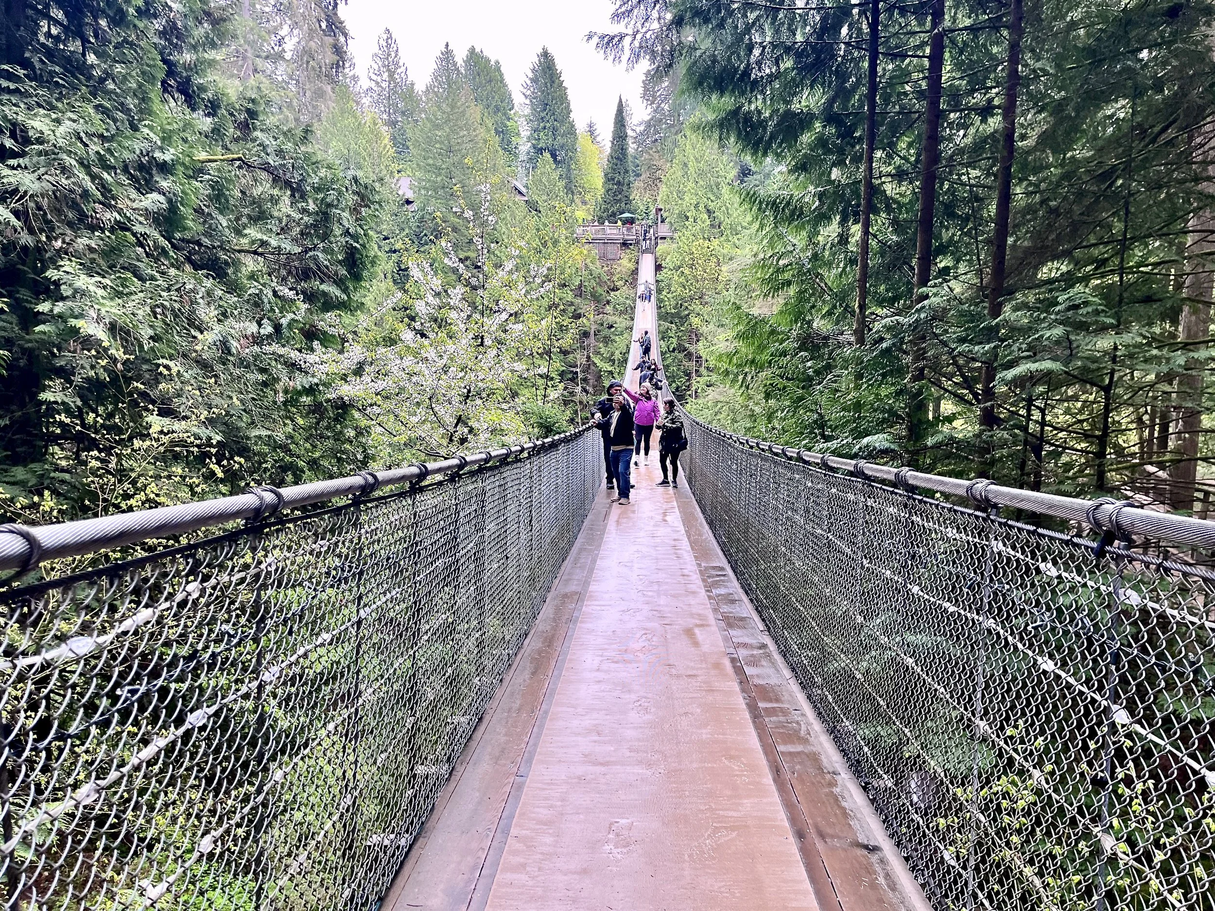 Capilano Suspension Bridge Modern Traveller 1.JPG