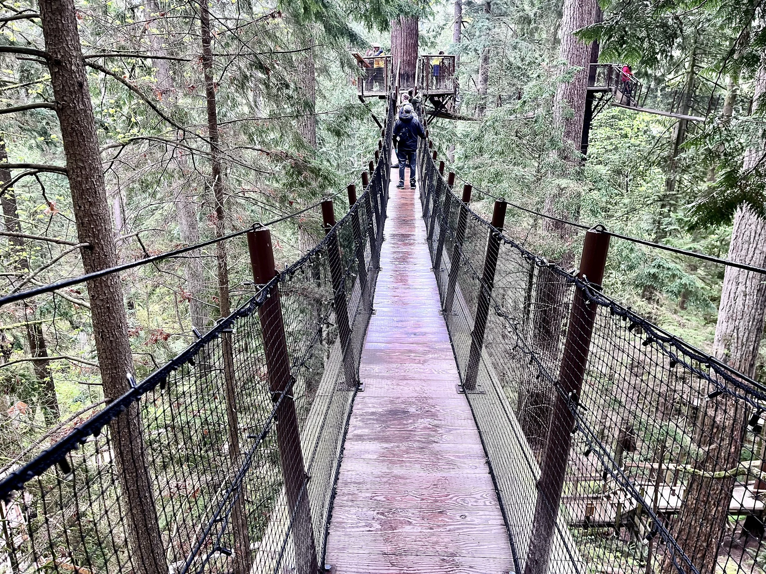 Treetops Adventure Modern Traveller 1.JPG
